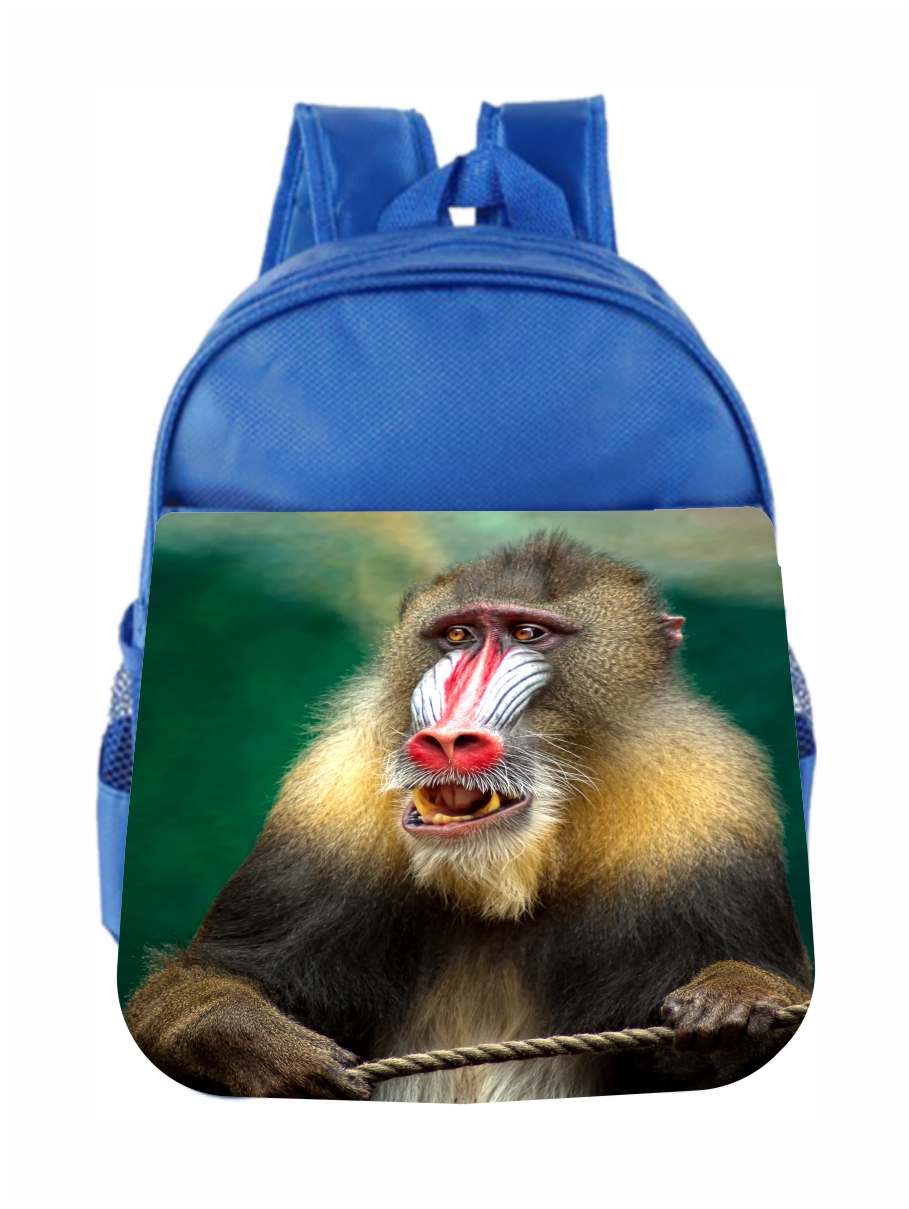 Accessory Avenue Preschool Backpack Animals Exotic Monkey Kids