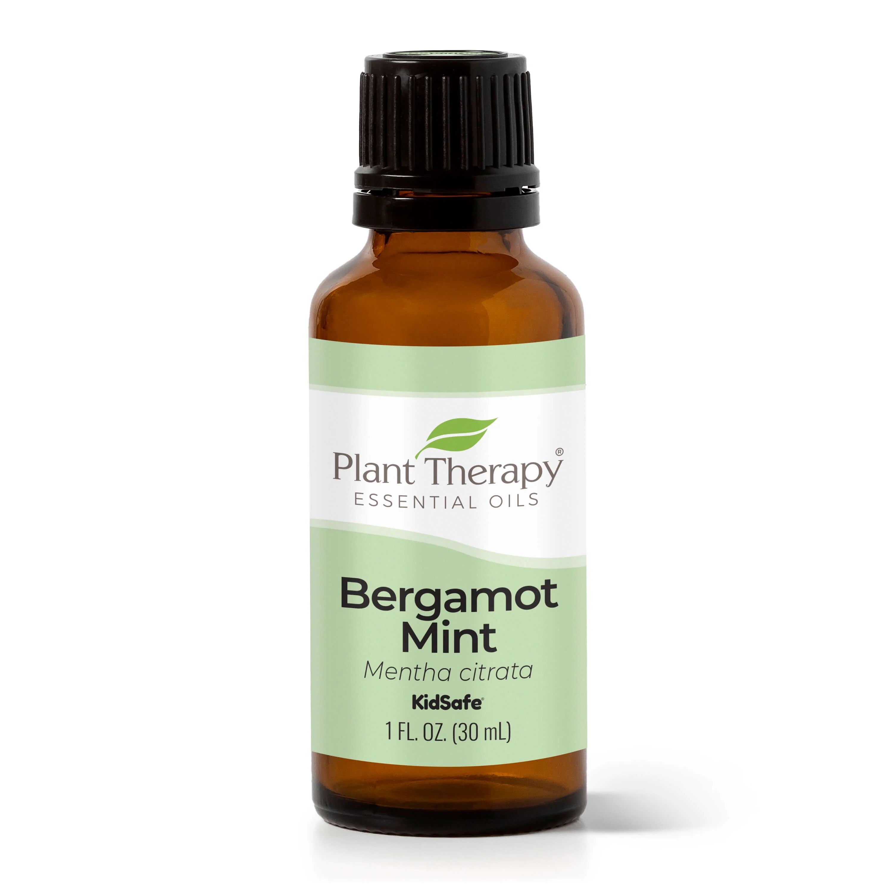 Plant Therapy Bergamot Mint Essential Oil 30 mL (1 oz) 100 Pure, Undiluted, Therapeutic Grade