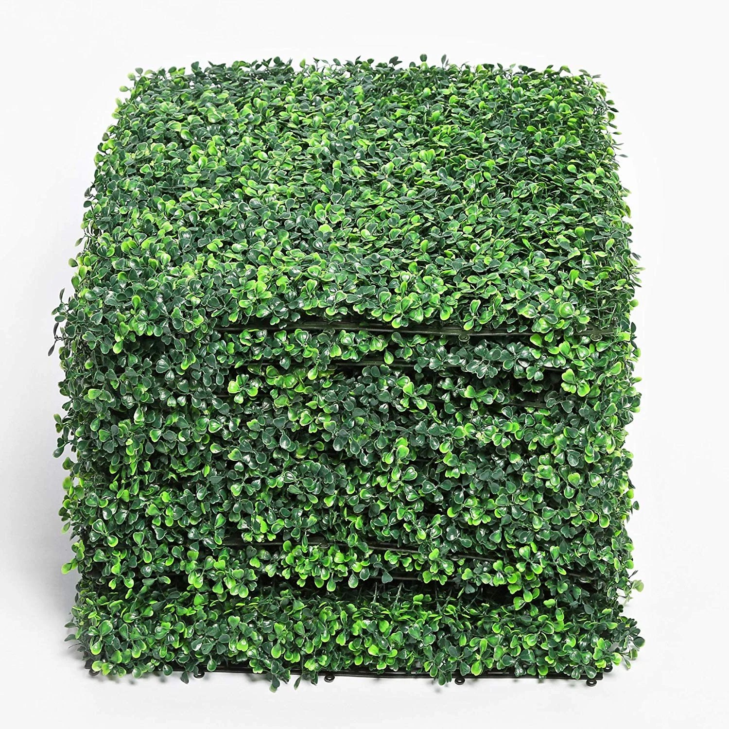 Comfortable Privacy Hedge Options For Small Room