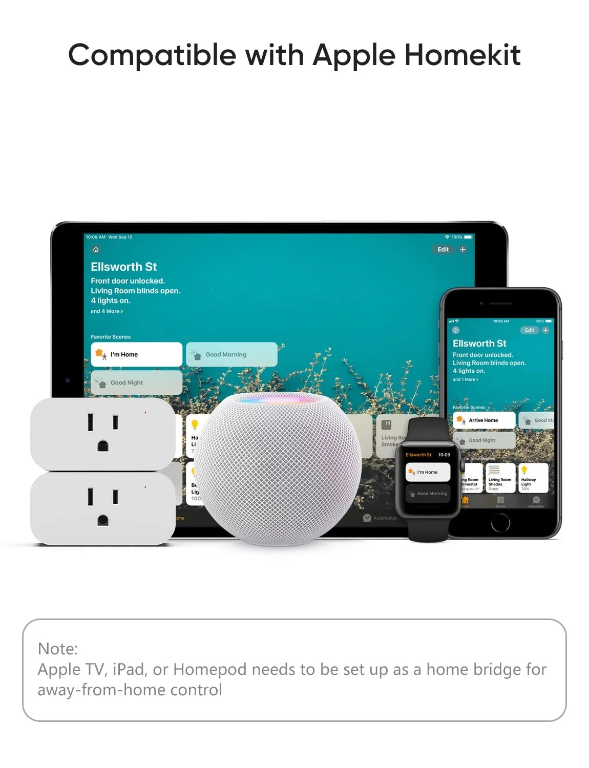 Buy Alexa Smart Plugs 2 Pack. Compatible with Apple Homekit. Alexa