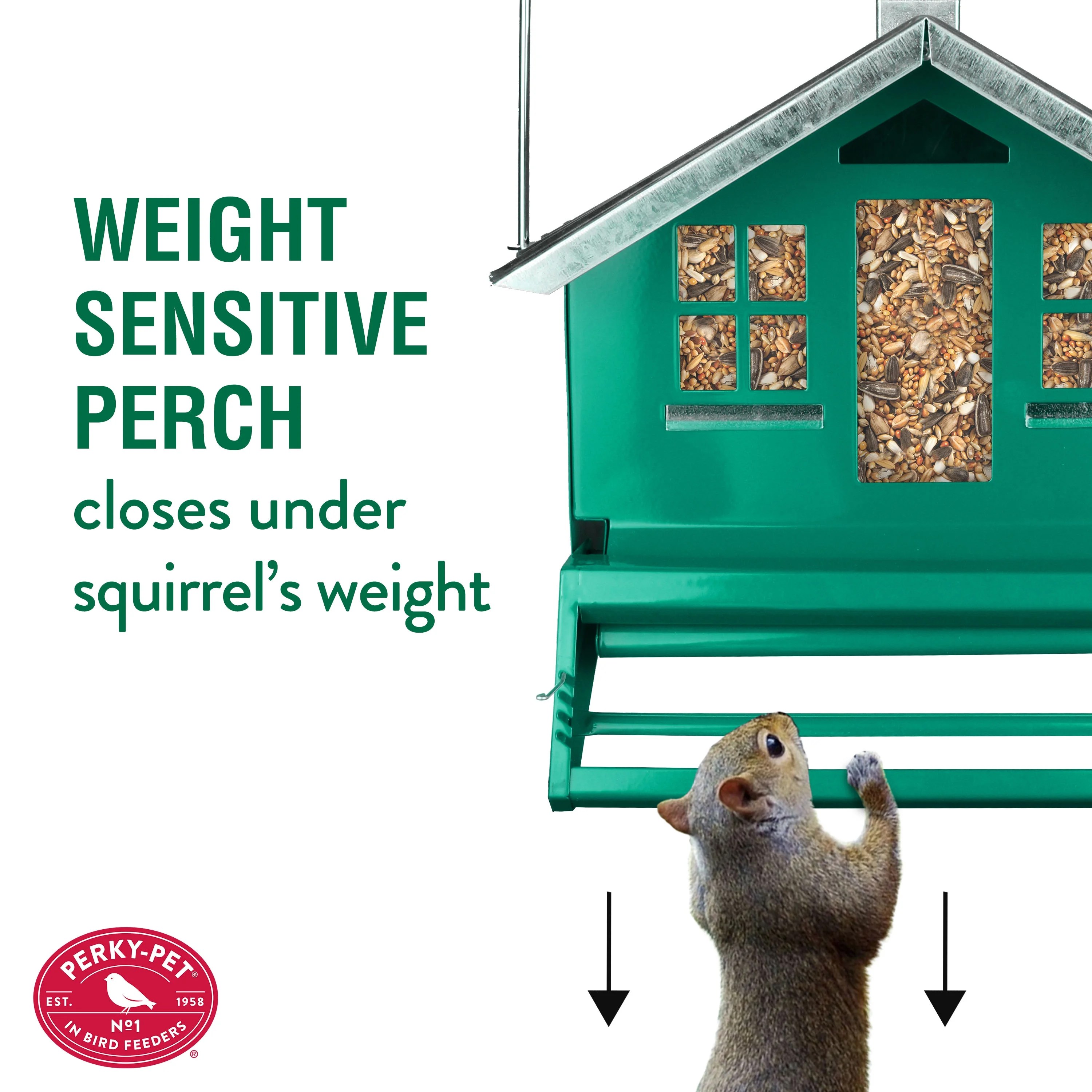 Buy Perky Pet Squirrel Be Gone II Home Style Wild Bird Feeder Online at