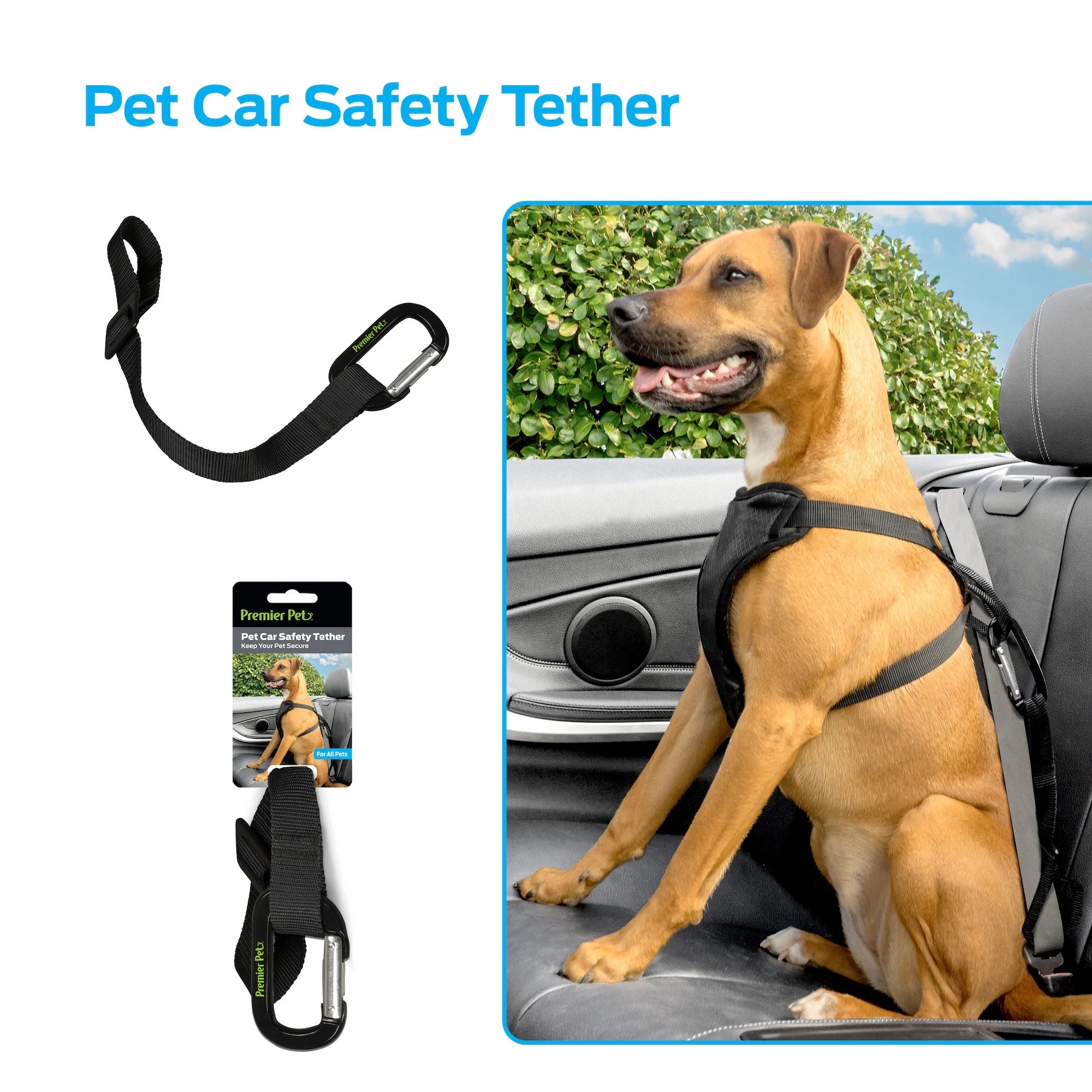 Premier Pet Pet Car Safety Tether Keeps Dog Secure in Any Vehicle