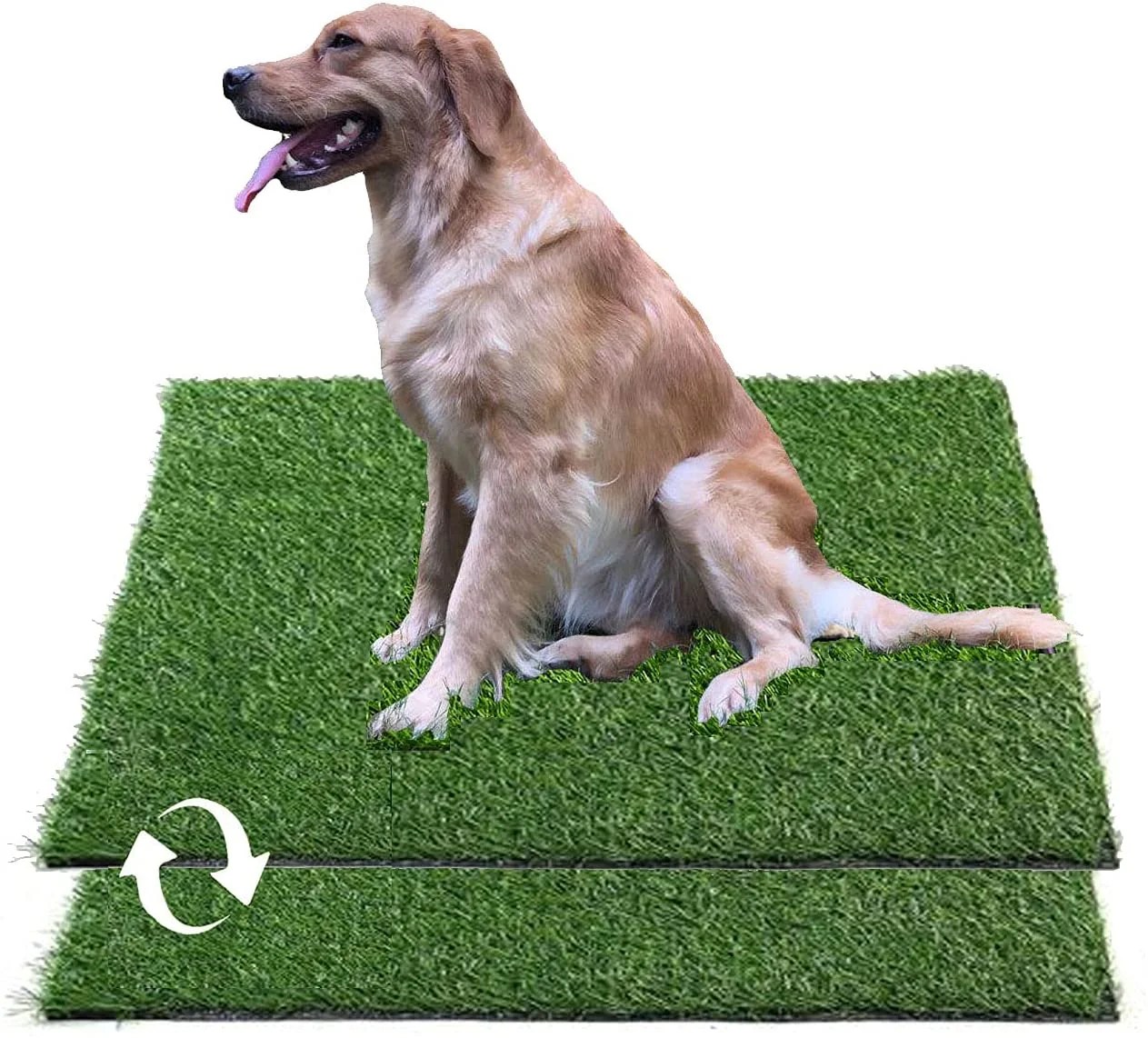 Can Dogs Potty On Artificial Grass