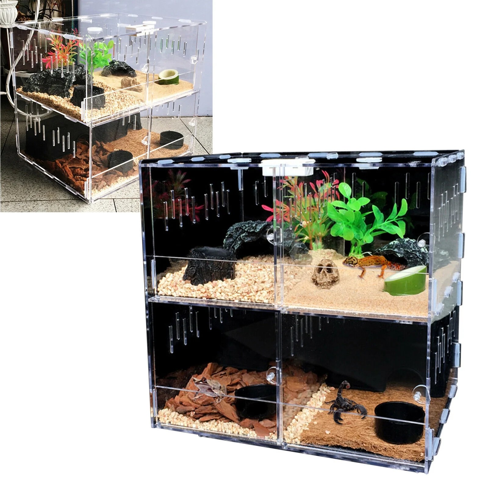 Buy 4 Grids Acrylic Reptile Cage Enclosure Box Tarantula Insect Clear