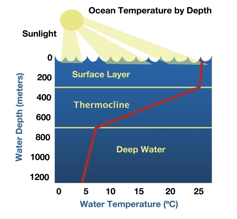 Ocean Temperature by Depth Poster Print by Spencer SuttonScience Source