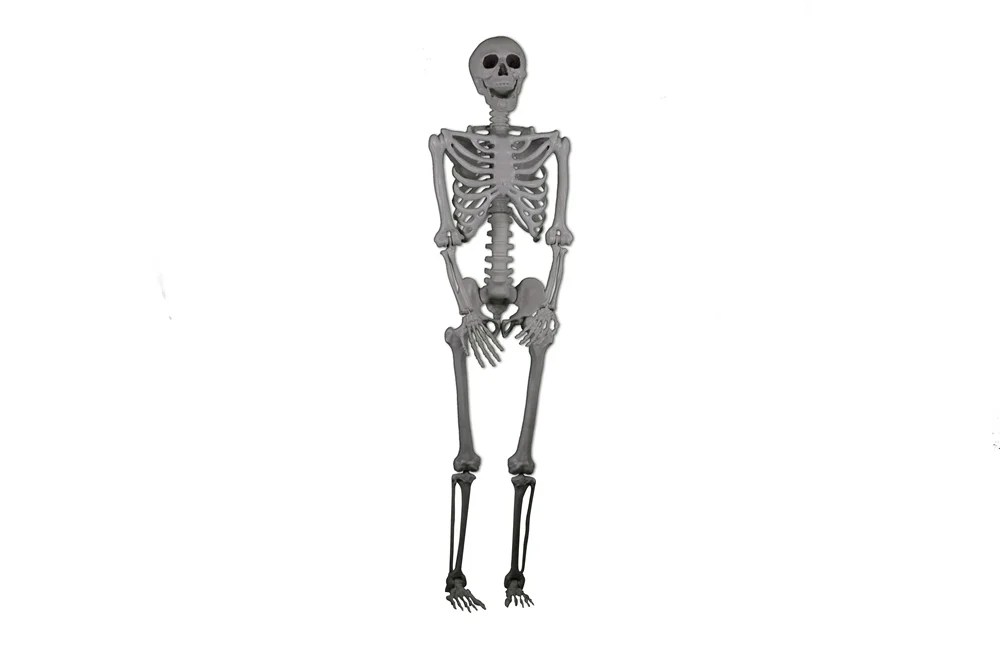 REALISTIC POSABLE SKELETON PROP 5FT