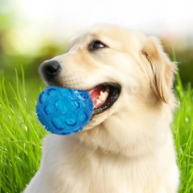 Pet Sounding Toy Elastic Ball Golden Retriever Puppy Molar Bite
