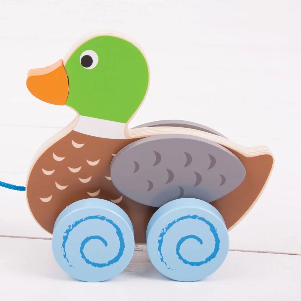 Bigjigs Toys Wooden Duck Pull Along Toy Walmart Canada