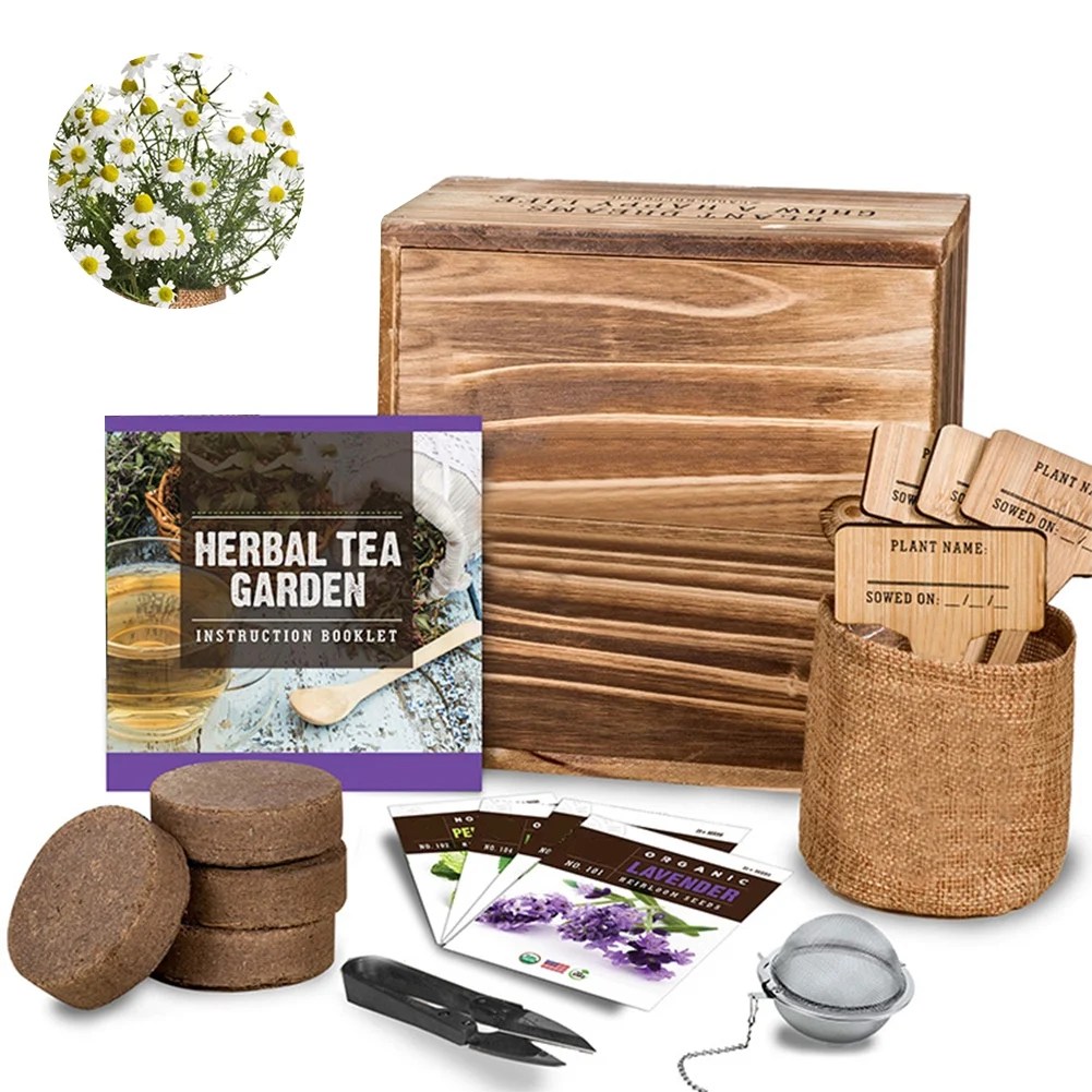 Garden Starter Kit Handmade Durable DIY Grow Set for