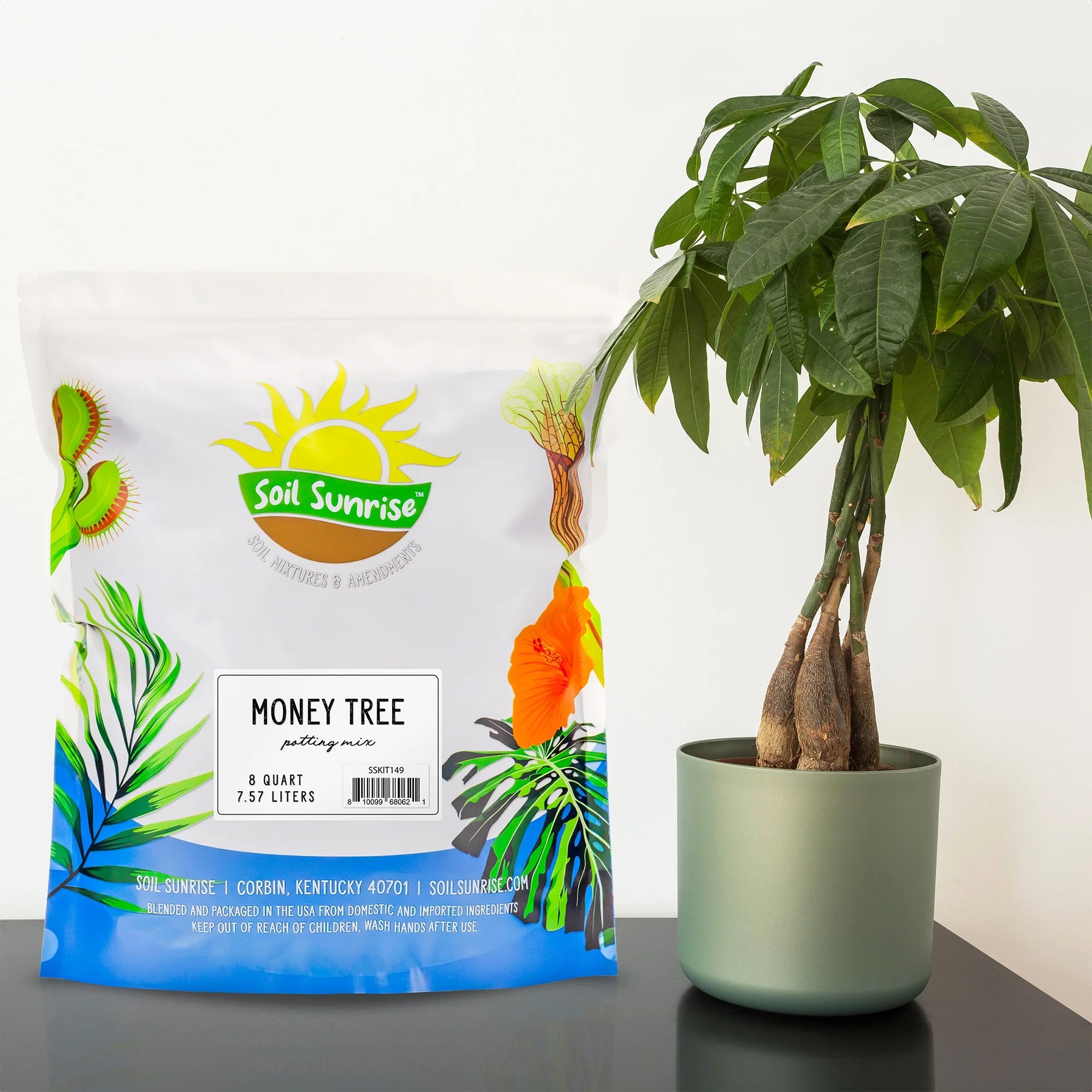 Money Tree Potting Soil Mix (2 Quarts); Custom Blend for Money