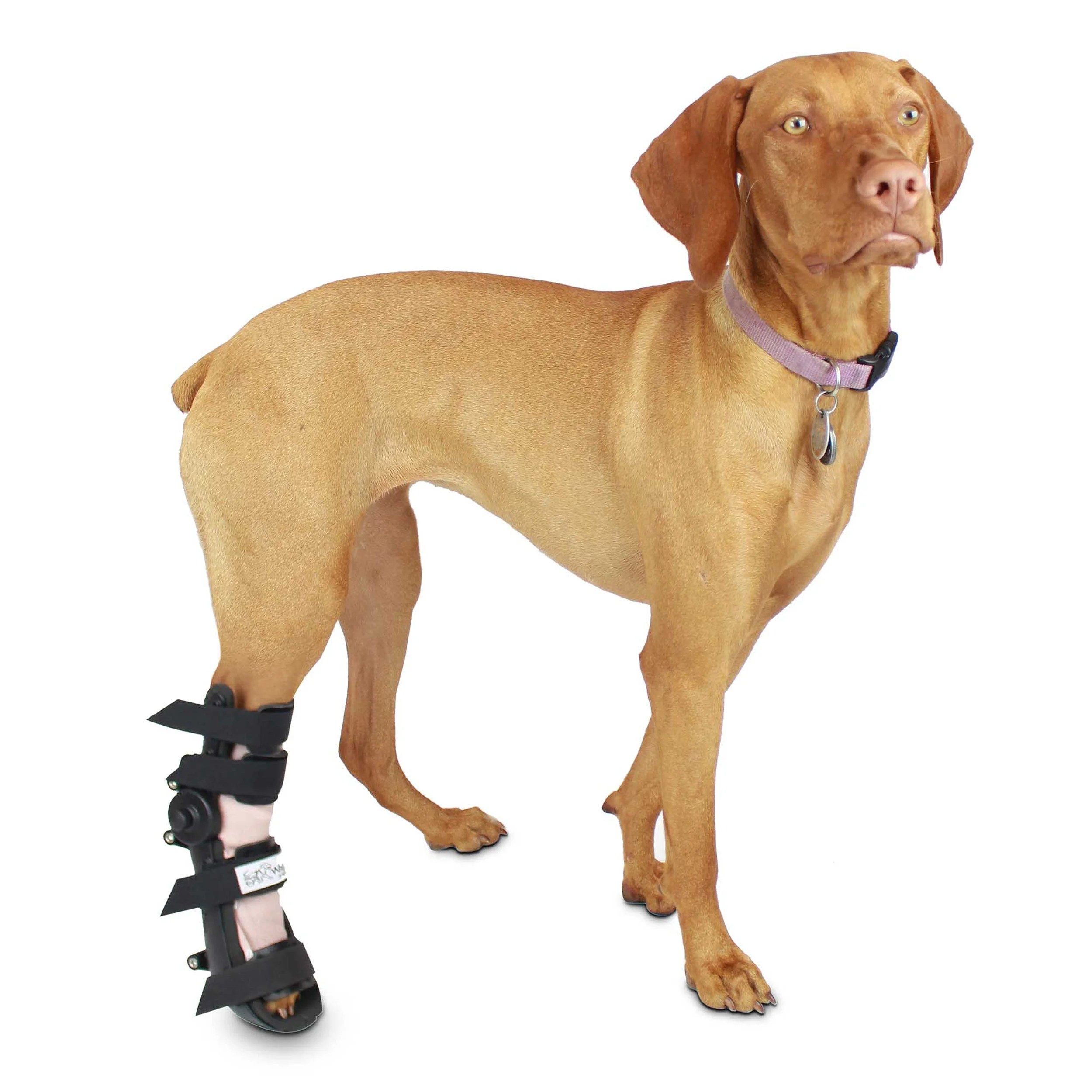 Walkin' Fit® Adjustable Dog Splint Pet Foot Splint Helps
