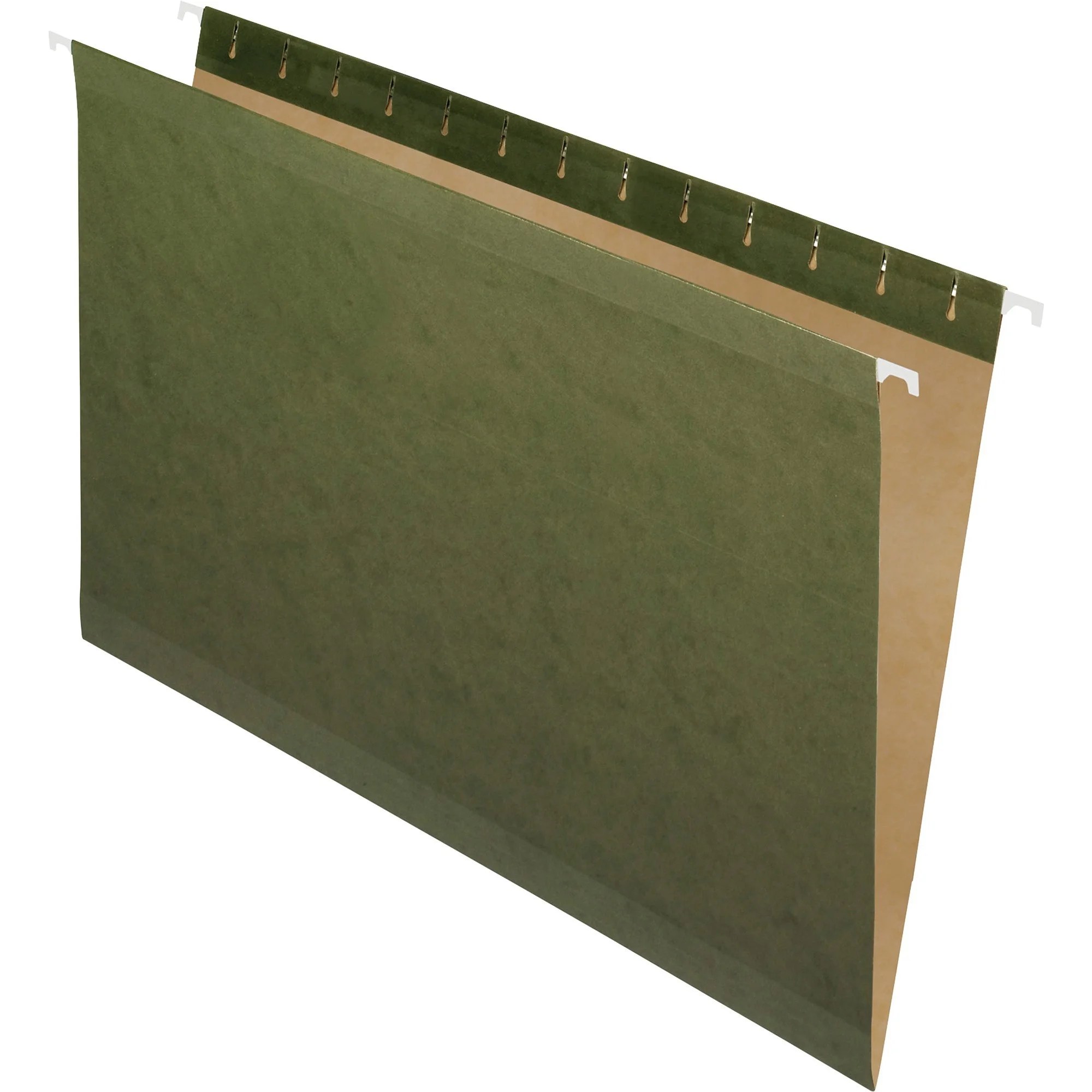Pendaflex Reinforced Hanging Folder, Standard Green, 25
