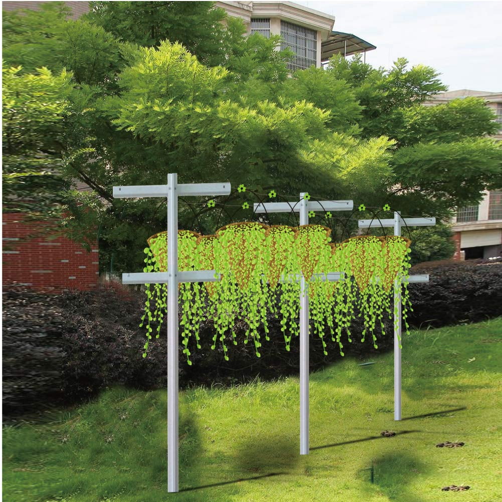 Mr. Garden, 2 Pack, 7Feet, Raspberry Trellis with