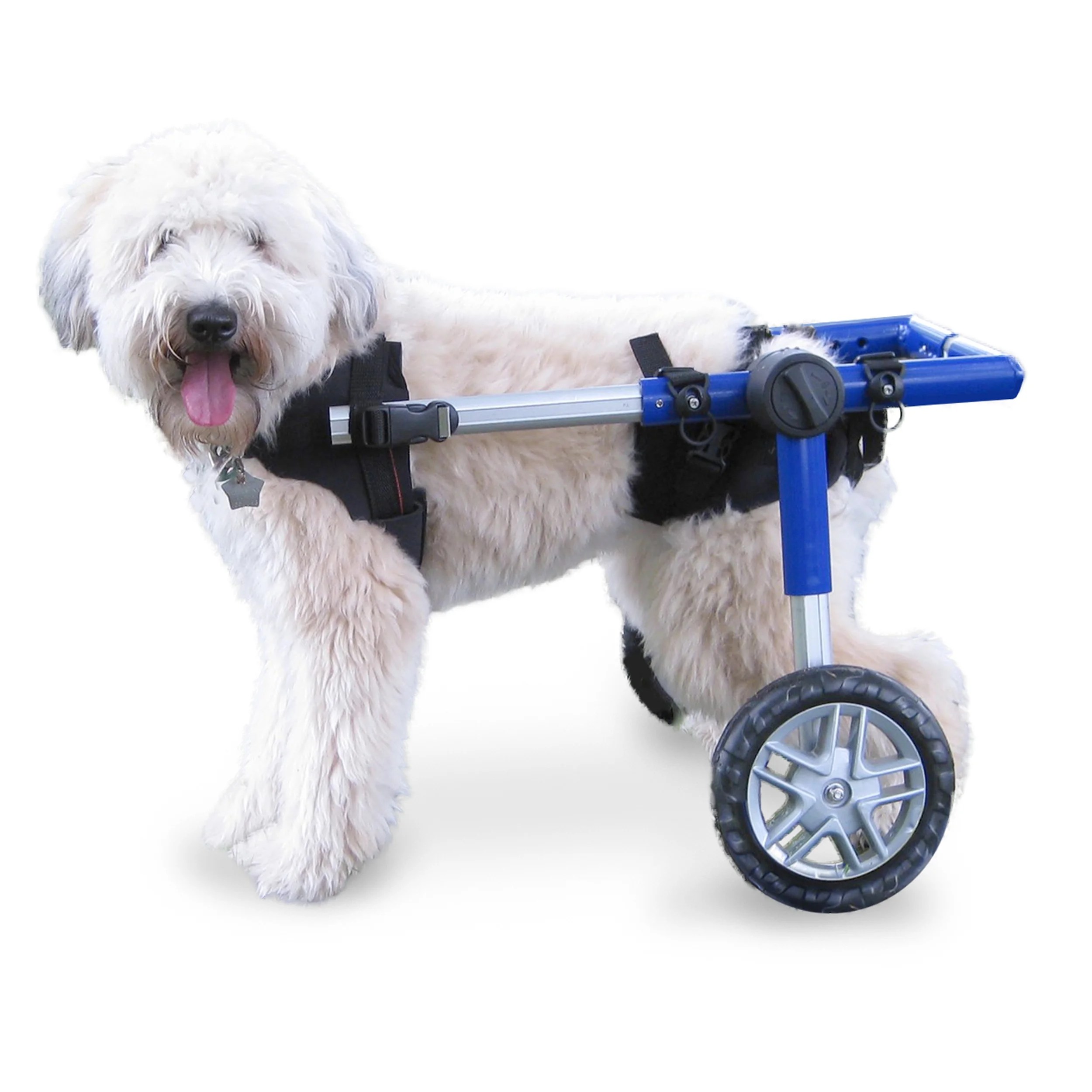 Walkin' Wheels Dog Wheelchair for Med/Large Dogs 5069 Pounds