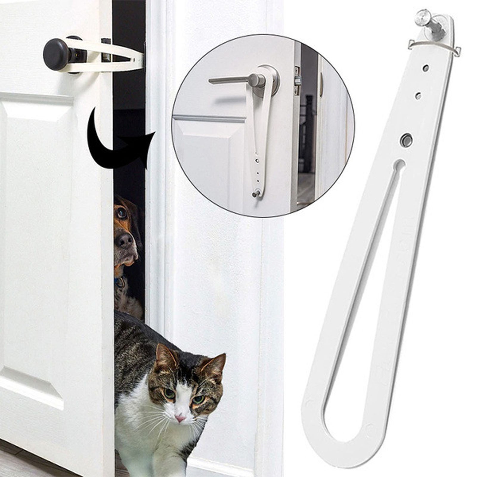 How Do I Keep My Dog Out Of The Cats Litter Box