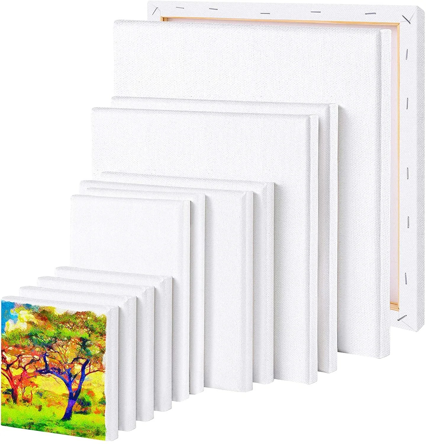 12 Pieces Canvas Panels Artist Blank Canvas Assorted Size Art Canvas