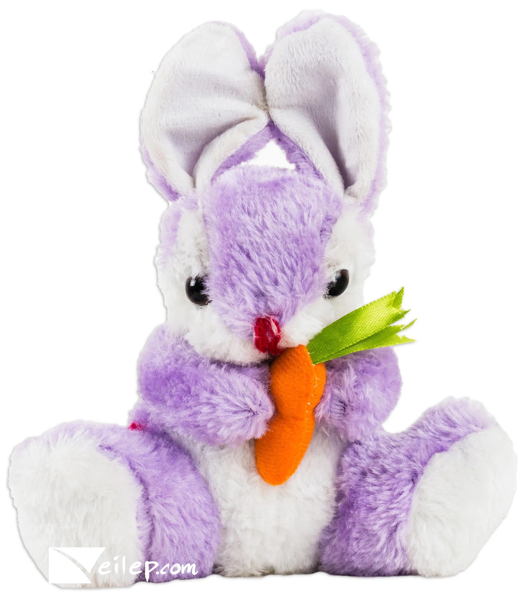 Veil Entertainment Spring Easter Cute Baby Bunnies with Carrots 8