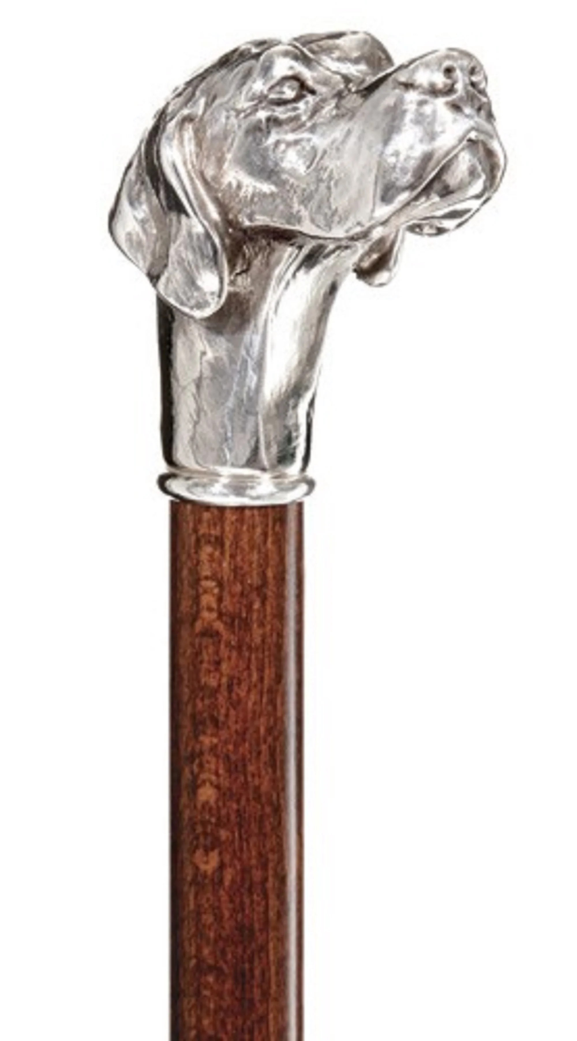 Harvy Canes Loyal Lab Dog Silver Plated Knob Handle Walking Cane