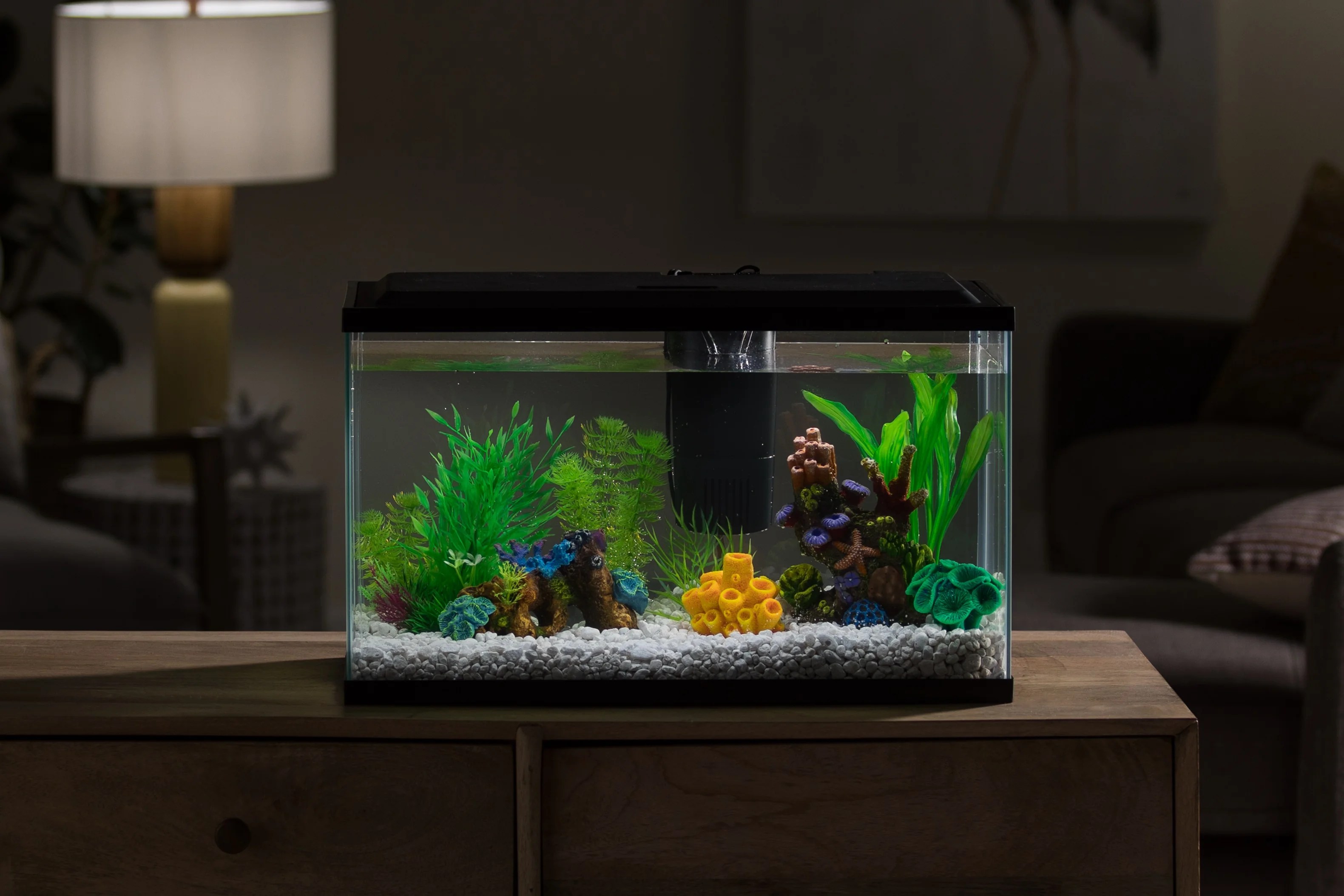 Aquarium Starter Kit With LED Lighting, 10Gallon Fish