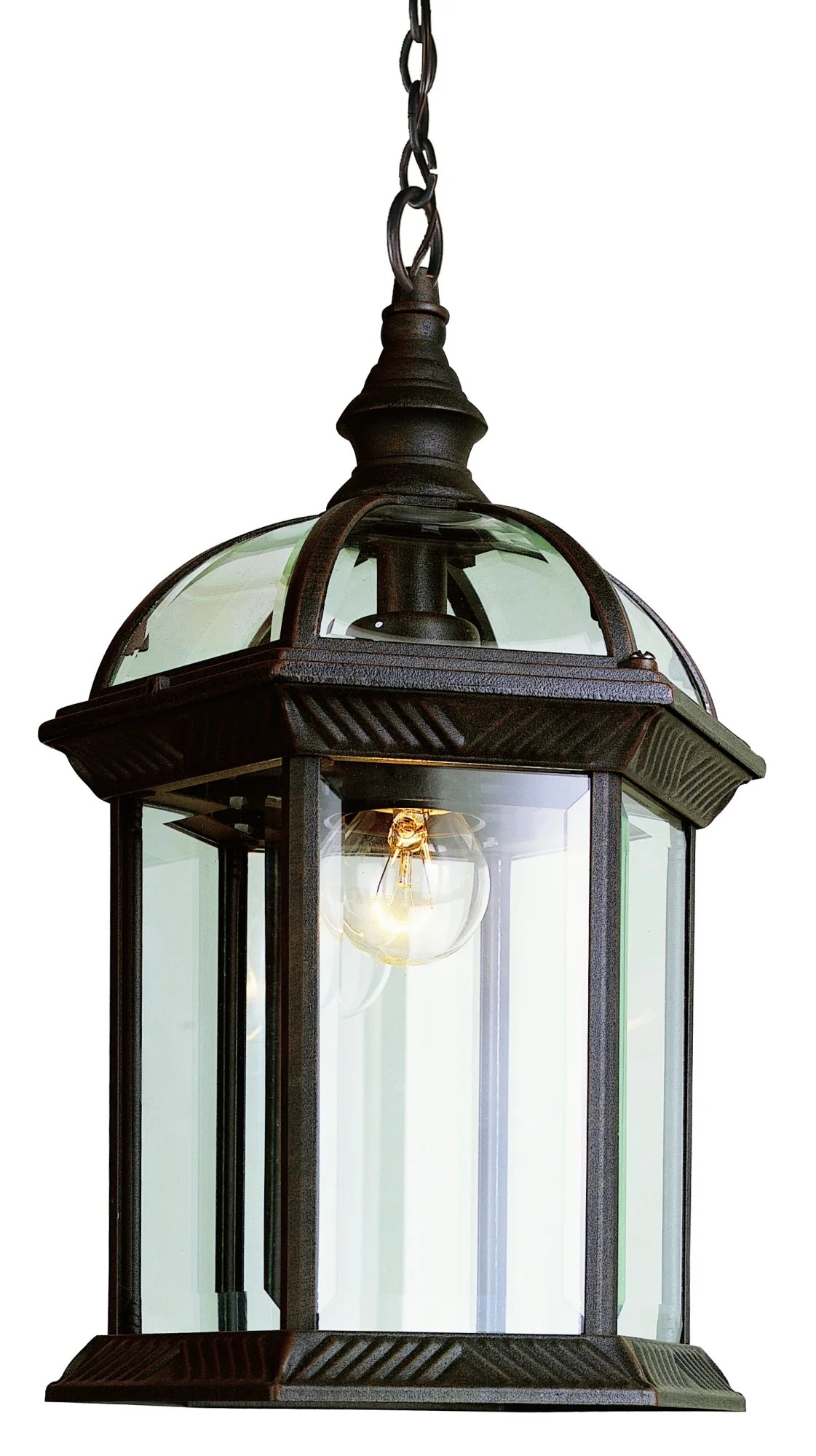 Trans Globe Lighting 4183 Rust Botanica 1 Light Outdoor