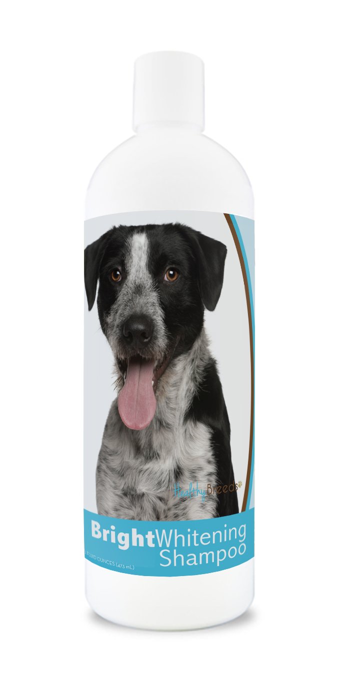 Healthy Breeds Bright Whitening Dog Shampoo for Mutt for White