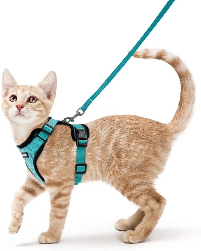 Rabbitgoo Cat Harness and Leash for Walking, Escape Proof Soft