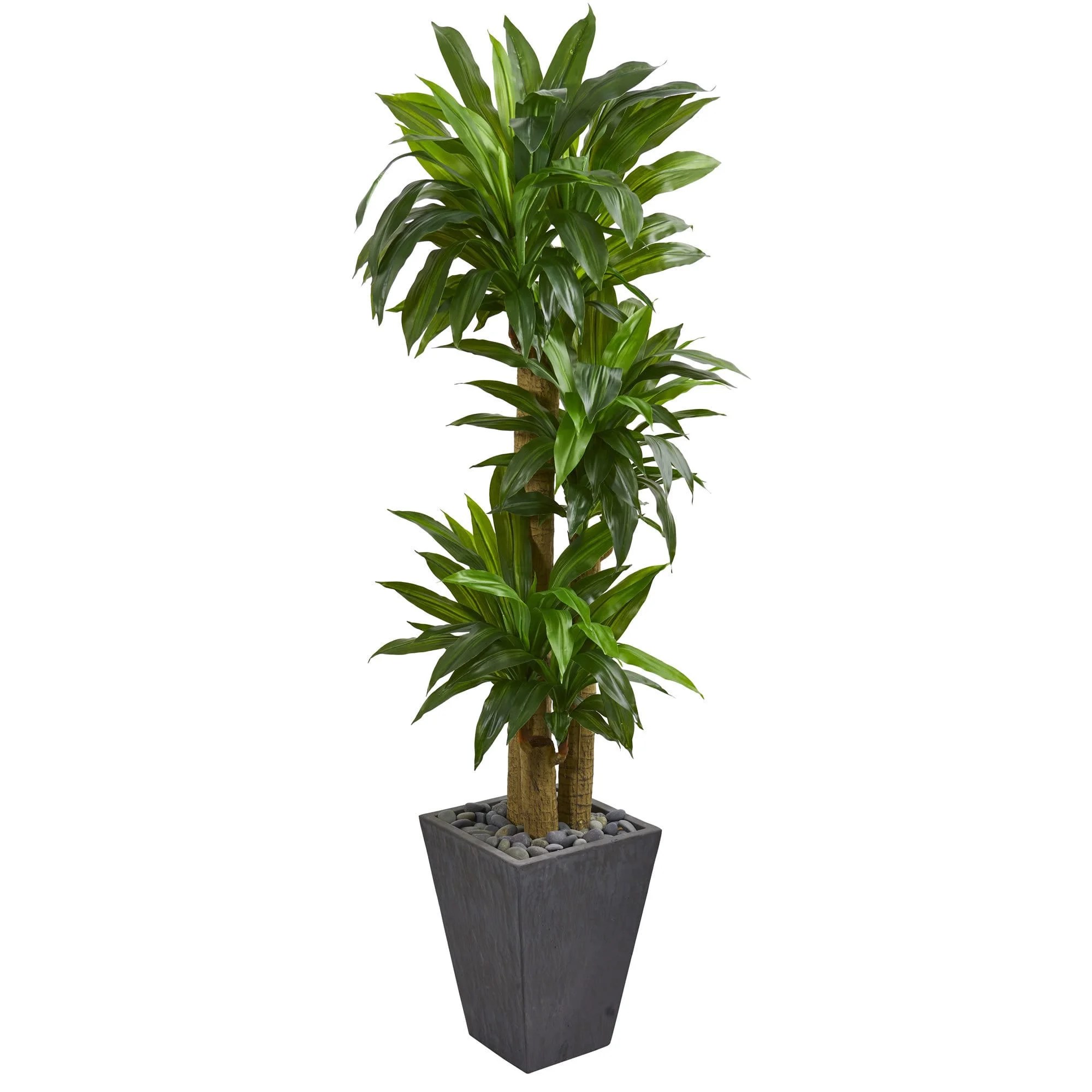 Nearly Natural 5.5' Cornstalk Dracaena Artificial Plant in Slate