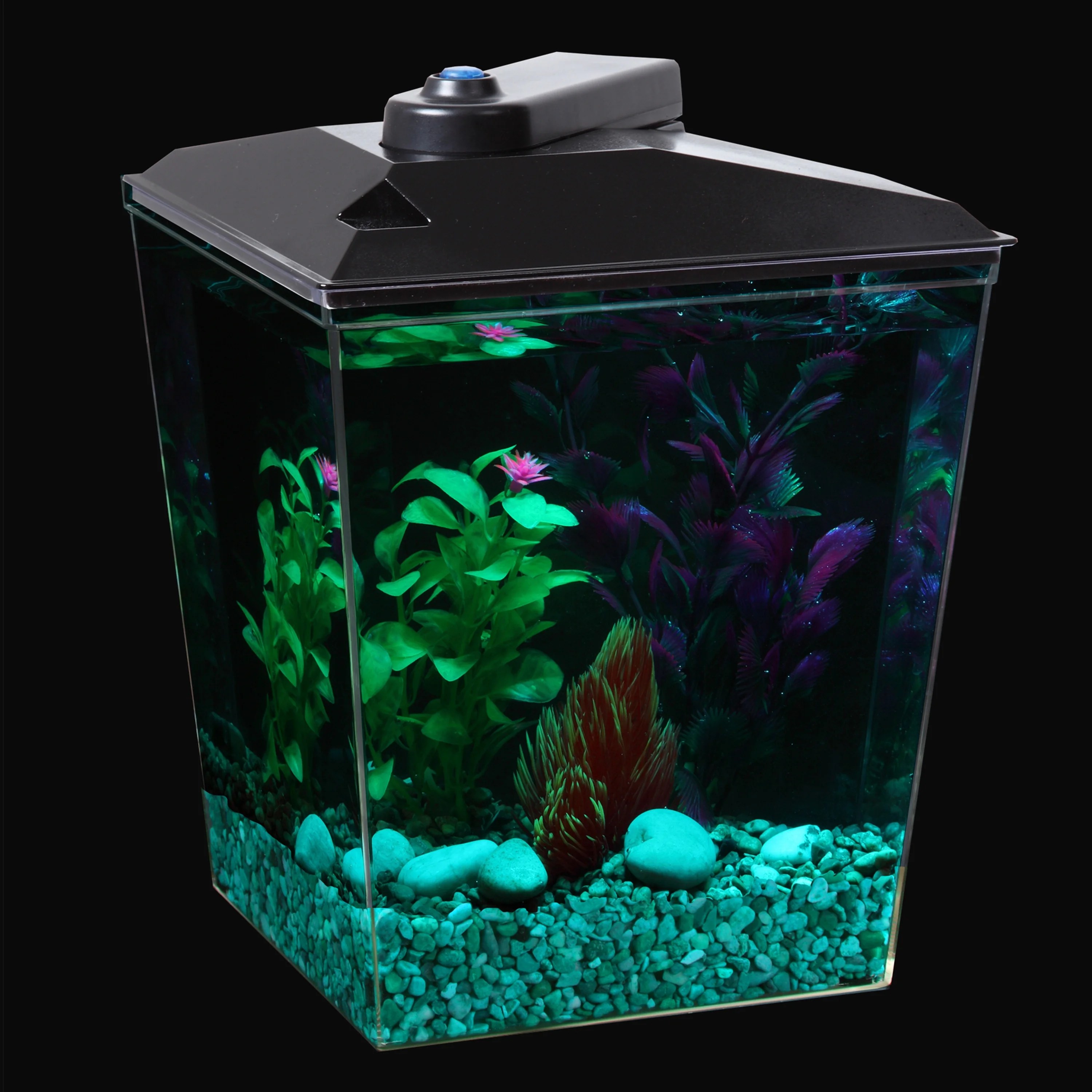 Aqua Culture 1Gallon Aquarium with LED Lighting and Internal Power