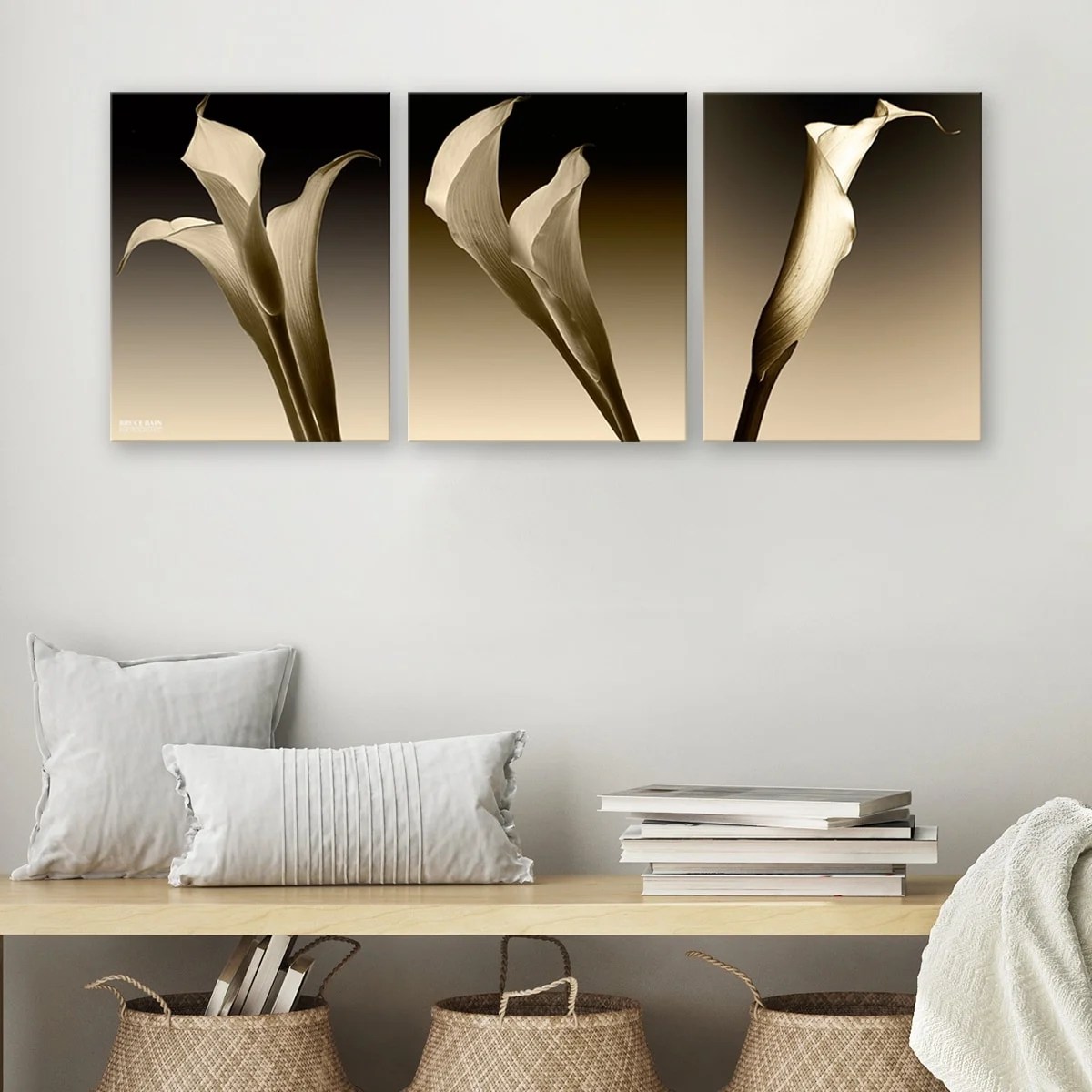 Ready2HangArt Canvas Art Print, 16" x 20", Set of 3