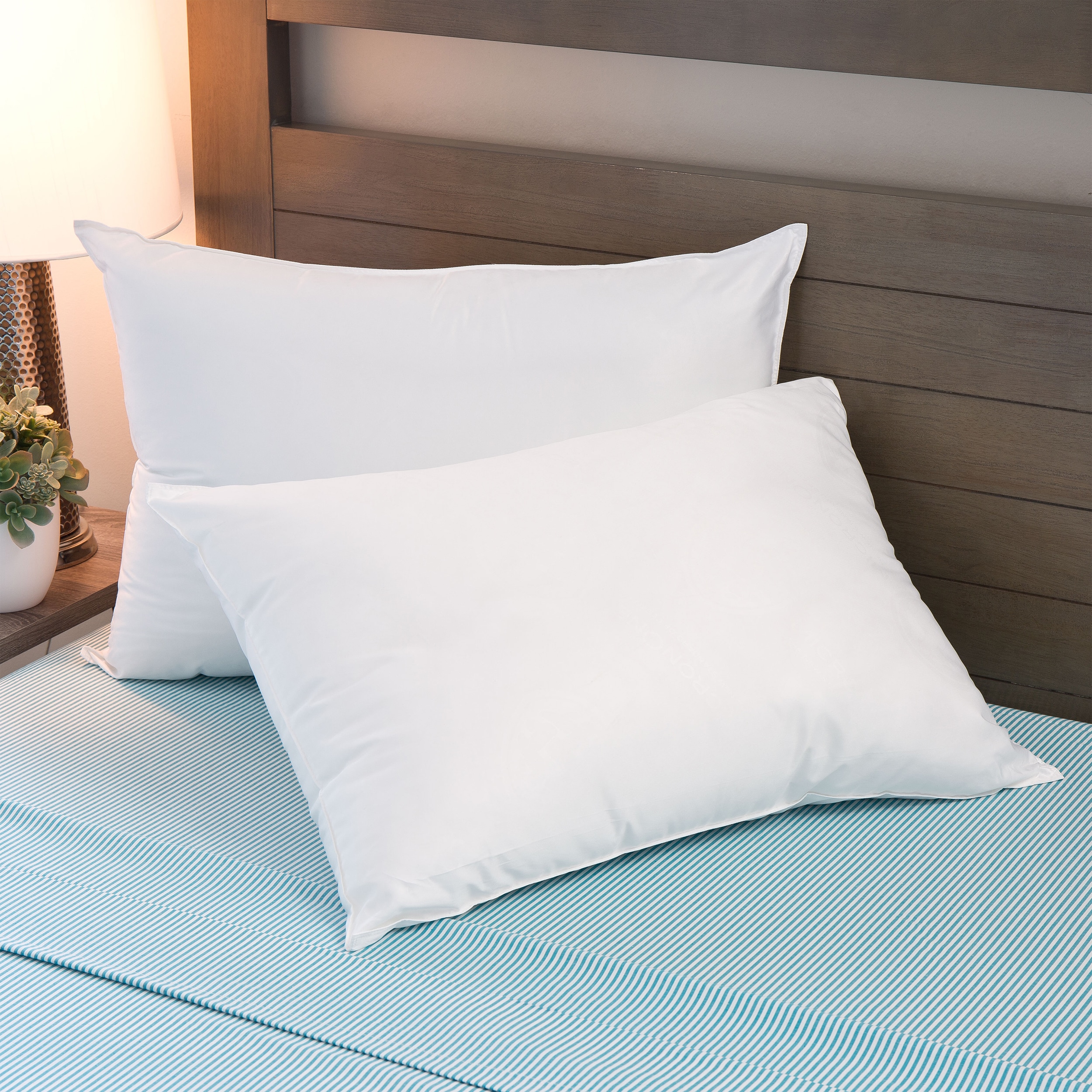 Sleep Protection MicronOne Hypoallergenic Pillows Set of 2 White