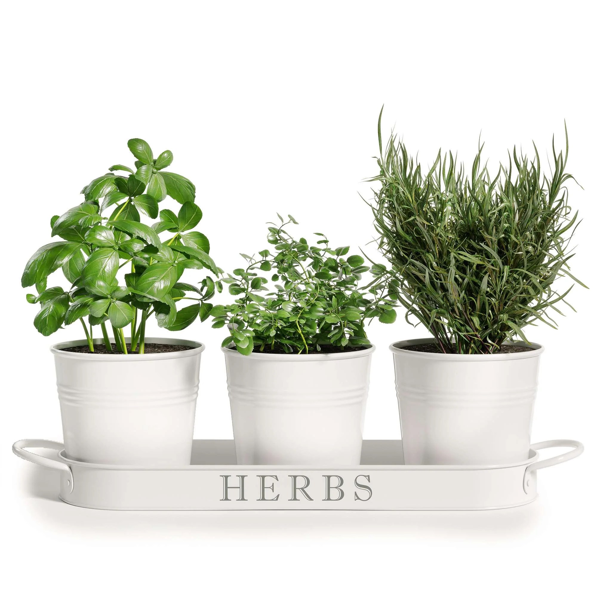 Barnyard Designs Farmhouse Herb Garden Planter Indoor Planter Set with