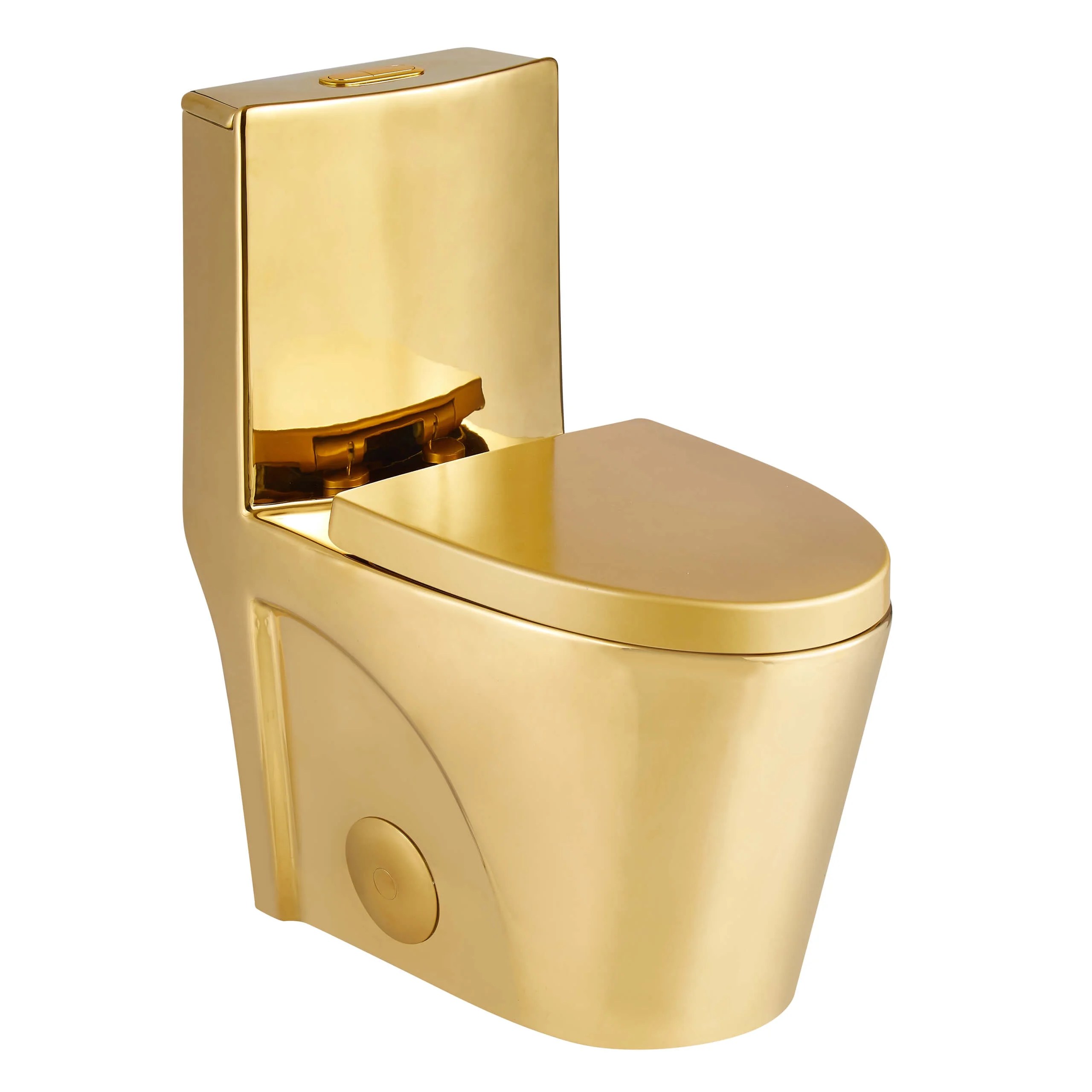 Fine Fixtures DualFlush Elongated OnePiece Toilet with High
