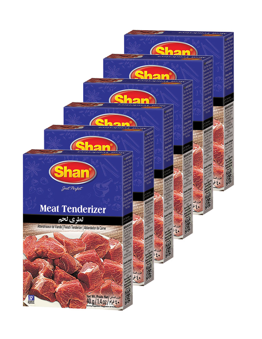 Shan Meat Tenderizer Mix 40g Powder(Pack of 6) No Preservatives