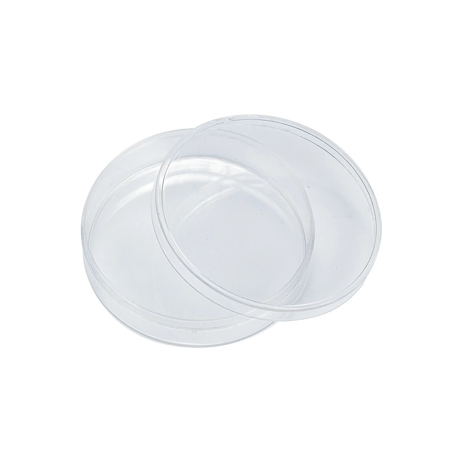 Fun Express Clear Plastic Round Containers (2dz) Party Supplies