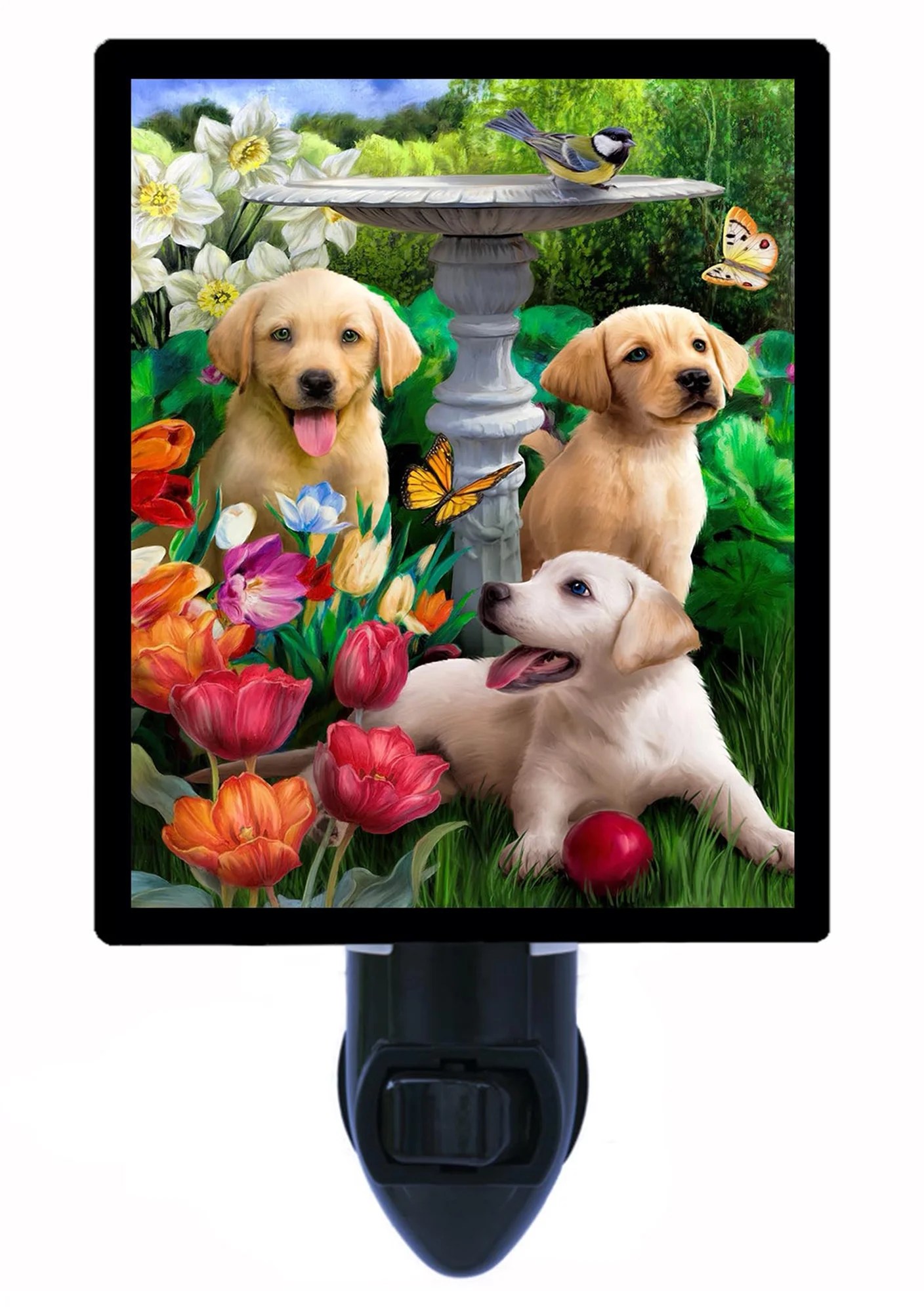 Do Puppies Need A Night Light