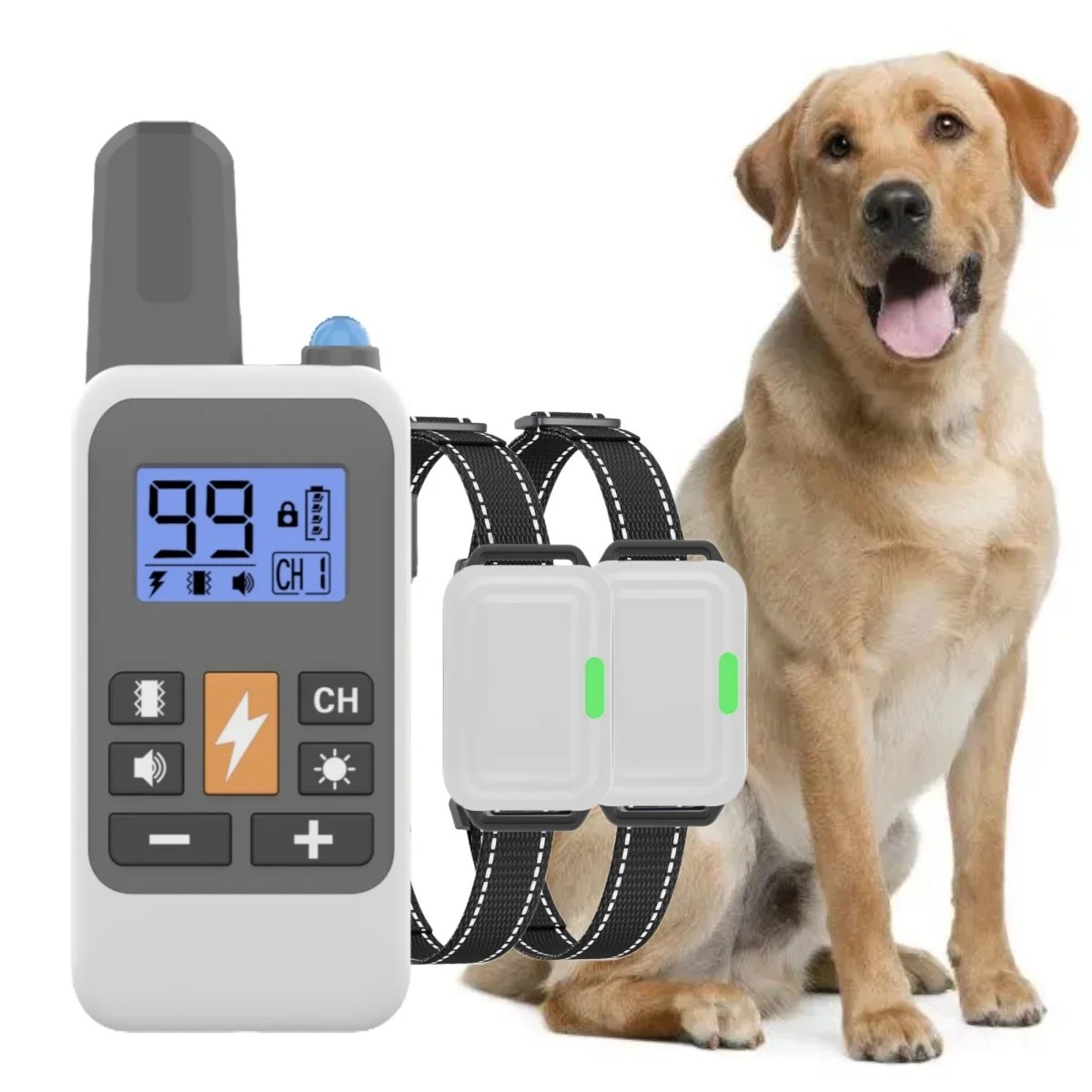 How Long Can You Leave A Bark Collar On A Dog