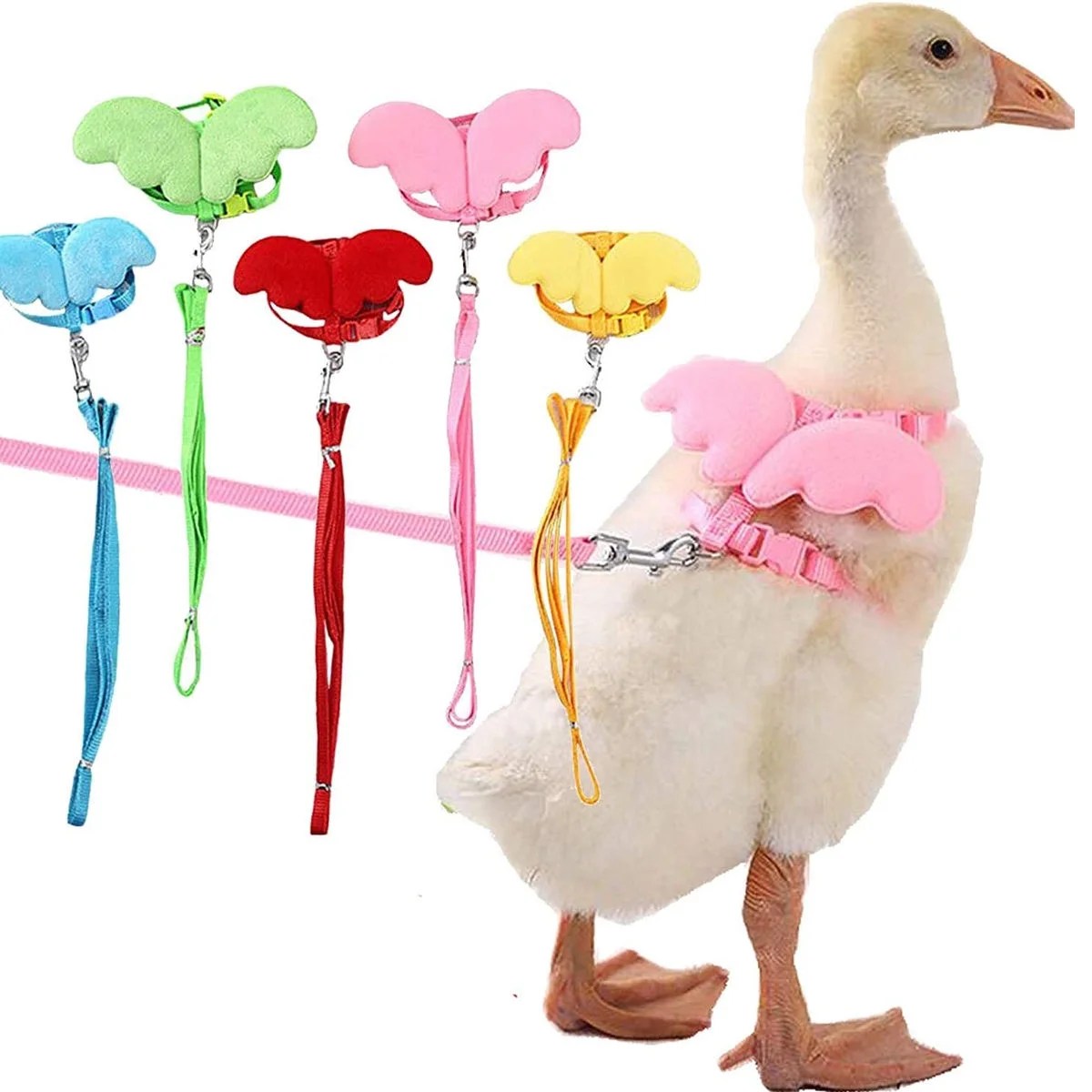 Pet Enjoy Duck Outside Walking Harness Leash,Cute Pet Hen Chickens