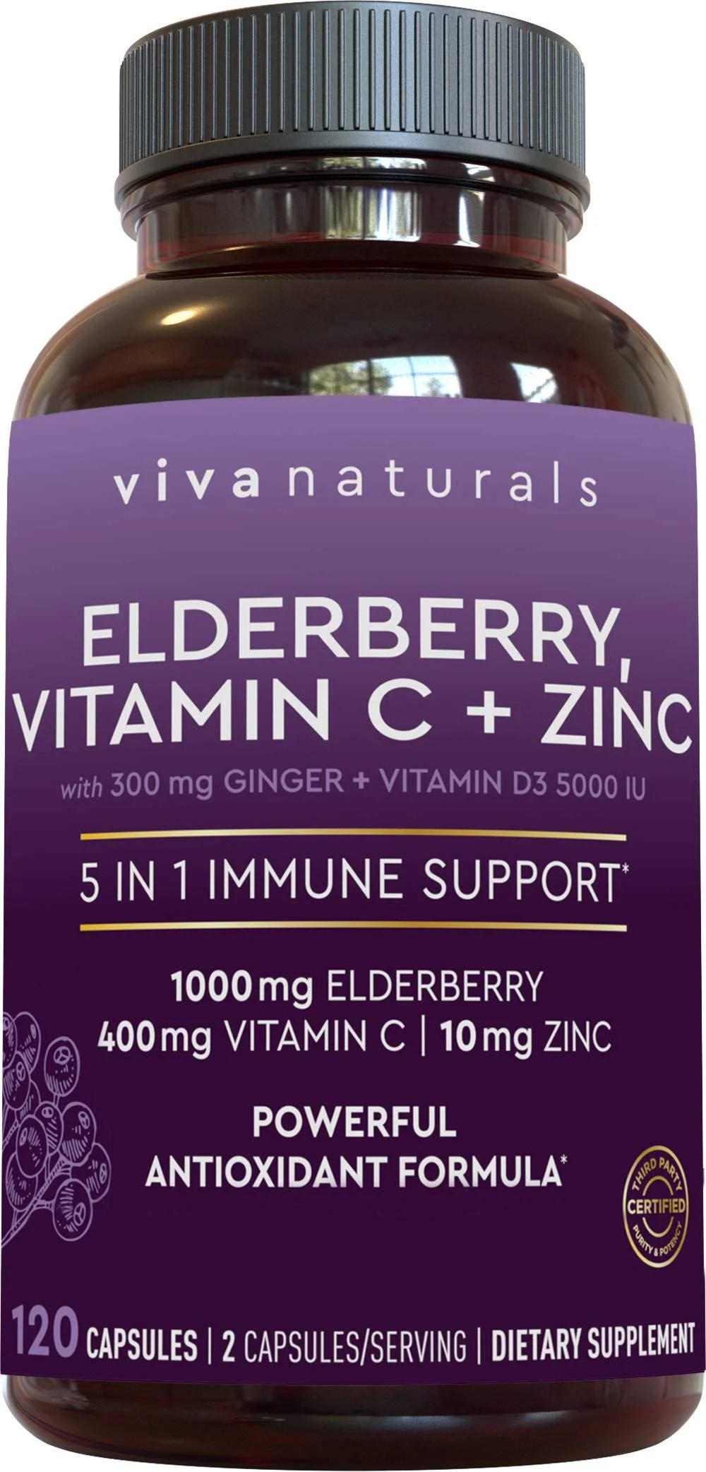 Elderberry, Vitamin C, Zinc, Vitamin D 5000 IU & Ginger Immune Support