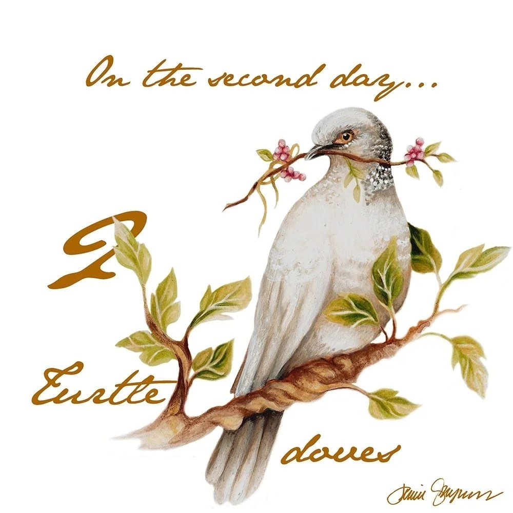 Two Turtle Doves Poster Print by Janice Gaynor (12 x 12