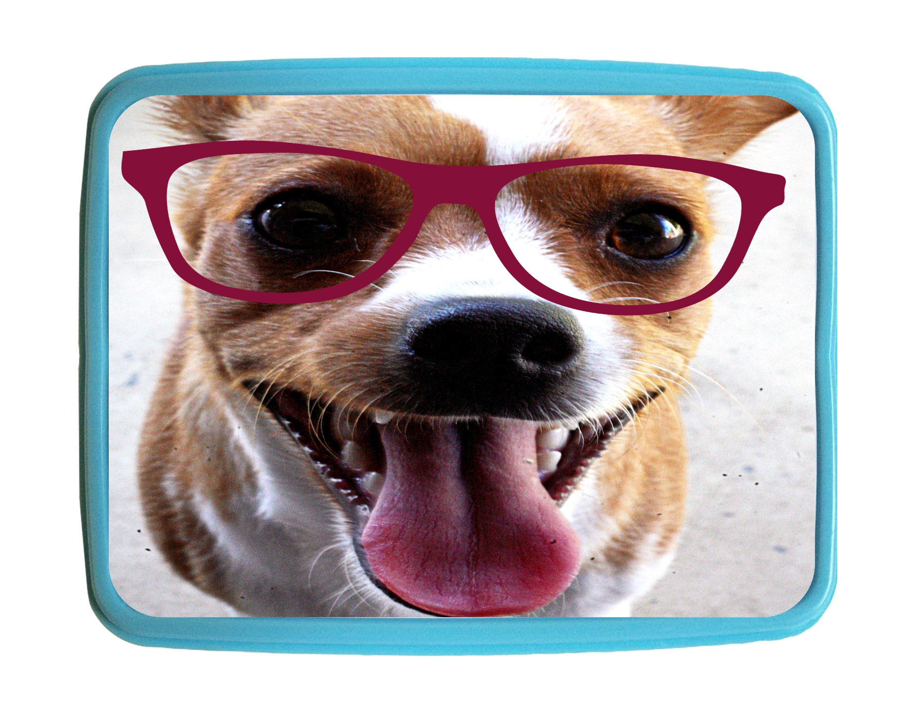Lunchbox Puppy Chihuahua Dog Kids Bento Lunch Box with 3 Compartment