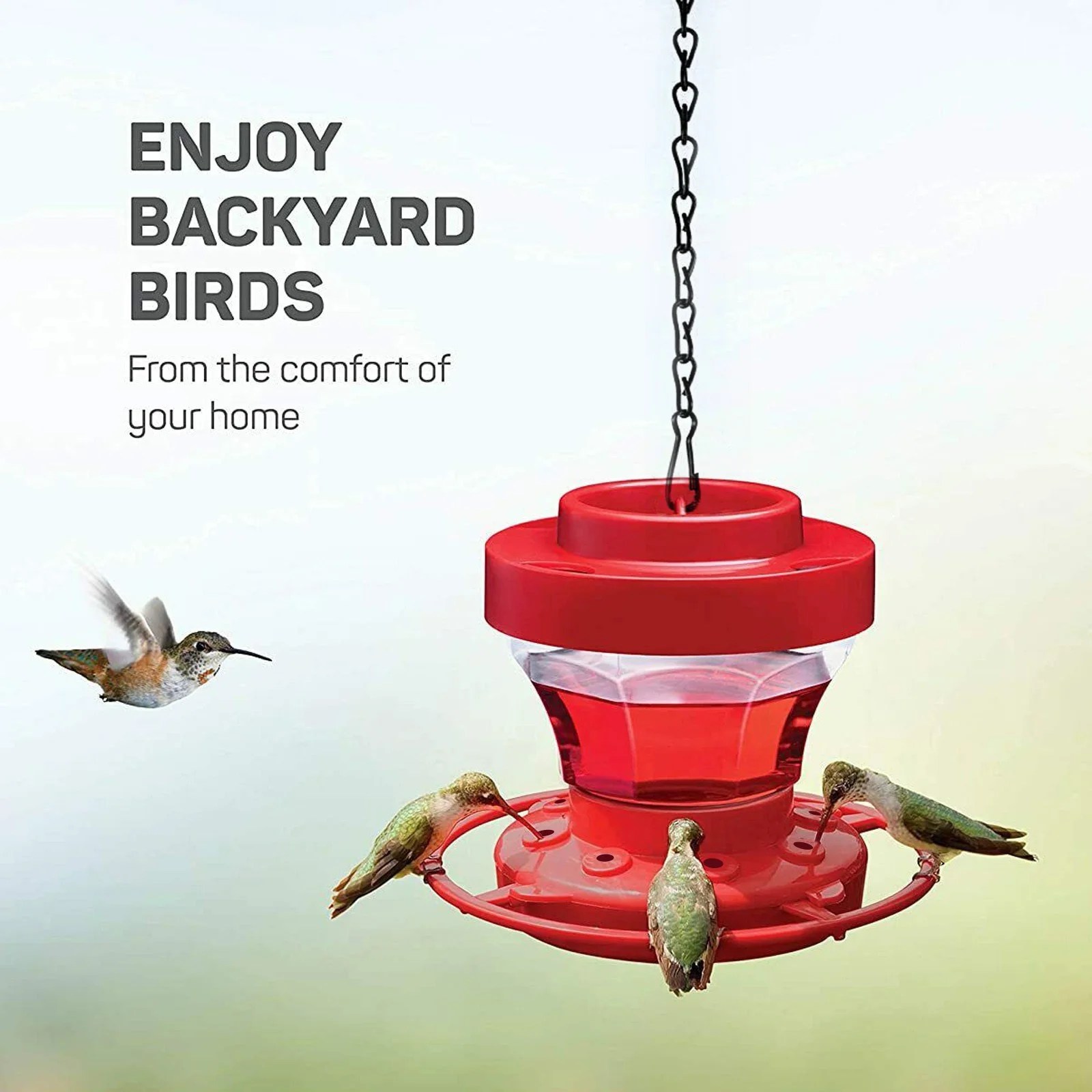 Hummingbird Feeders For Outdoors 8 Oz Bee Proof, Circular , W/ 8 Ports