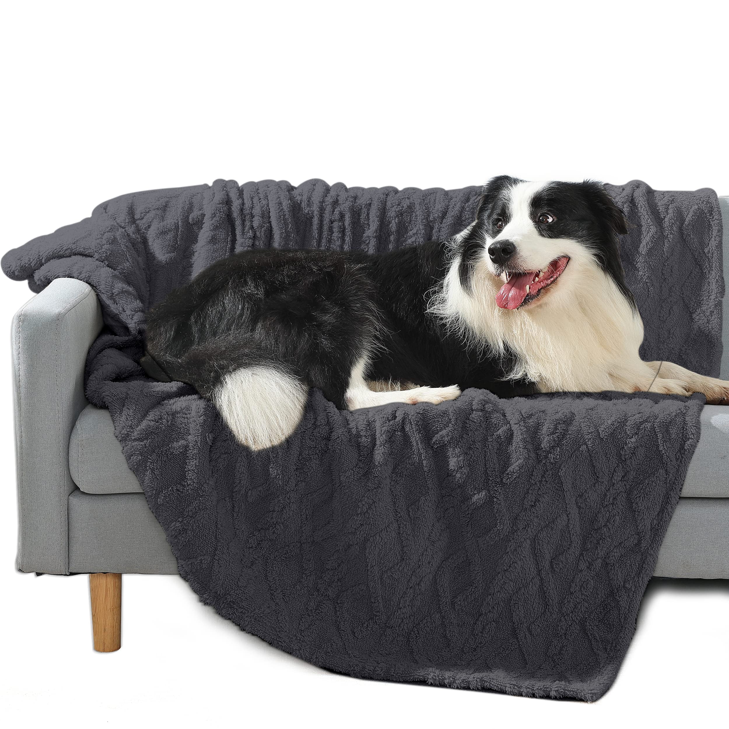 Dog Proof Sofa Throws Baci Living Room