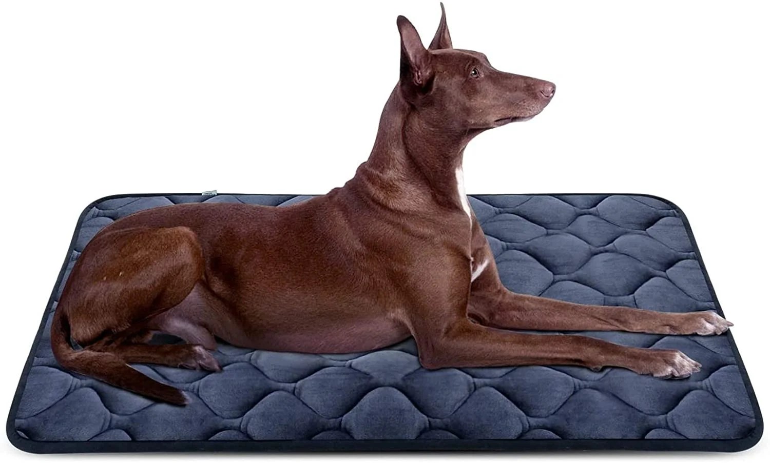 Hero Dog Dog Bed 42 Inch Mat Crate Pad Anti Slip Mattress