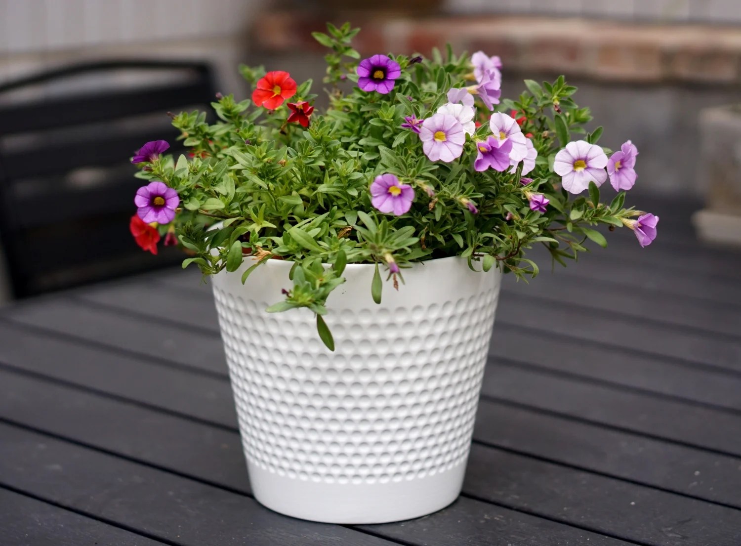 Mainstays Pottery 5" White Dot Ceramic Planter Walmart