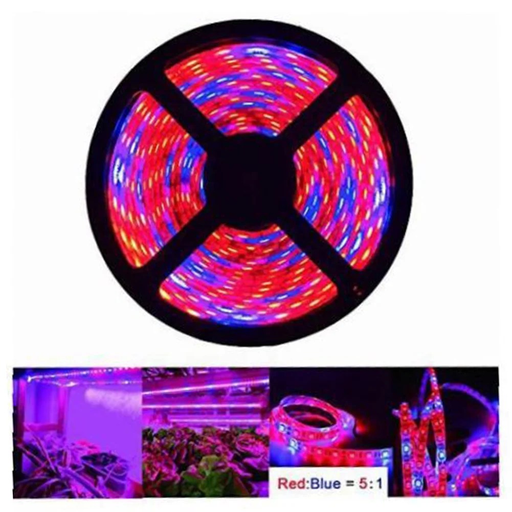 5M 12V LED Plant Grow Strip Light Full Spectrum Creative Rope Light for