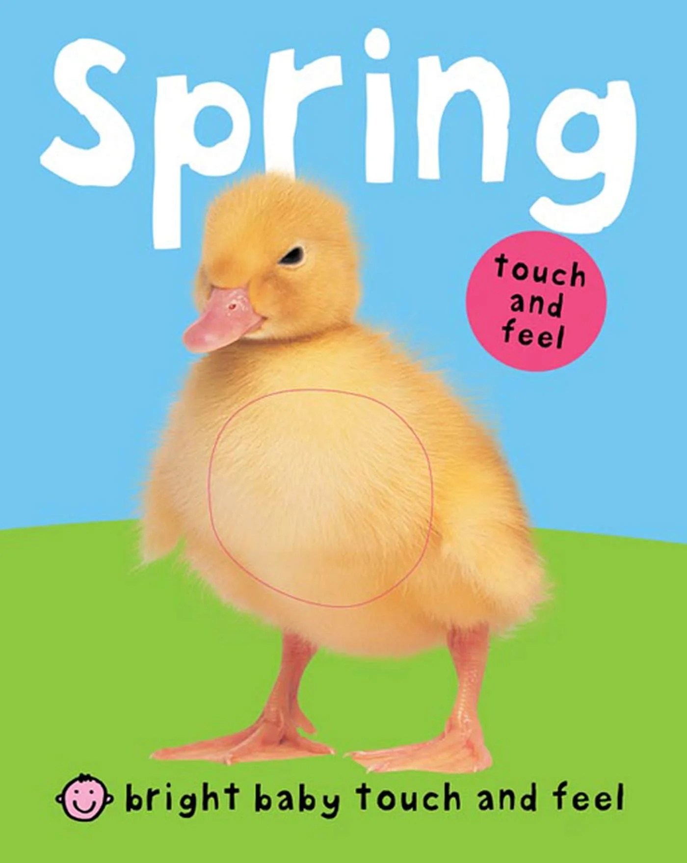 Spring (Board Book)