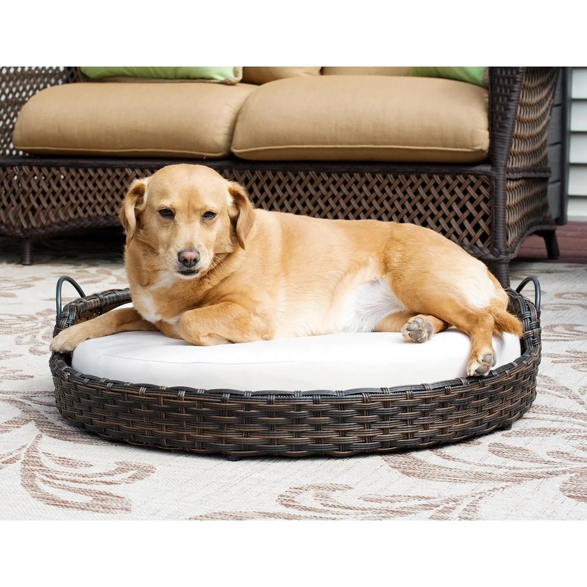 Iconic Pet Rattan Round Pet Bed with Handles Indoor/Outdoor Walmart