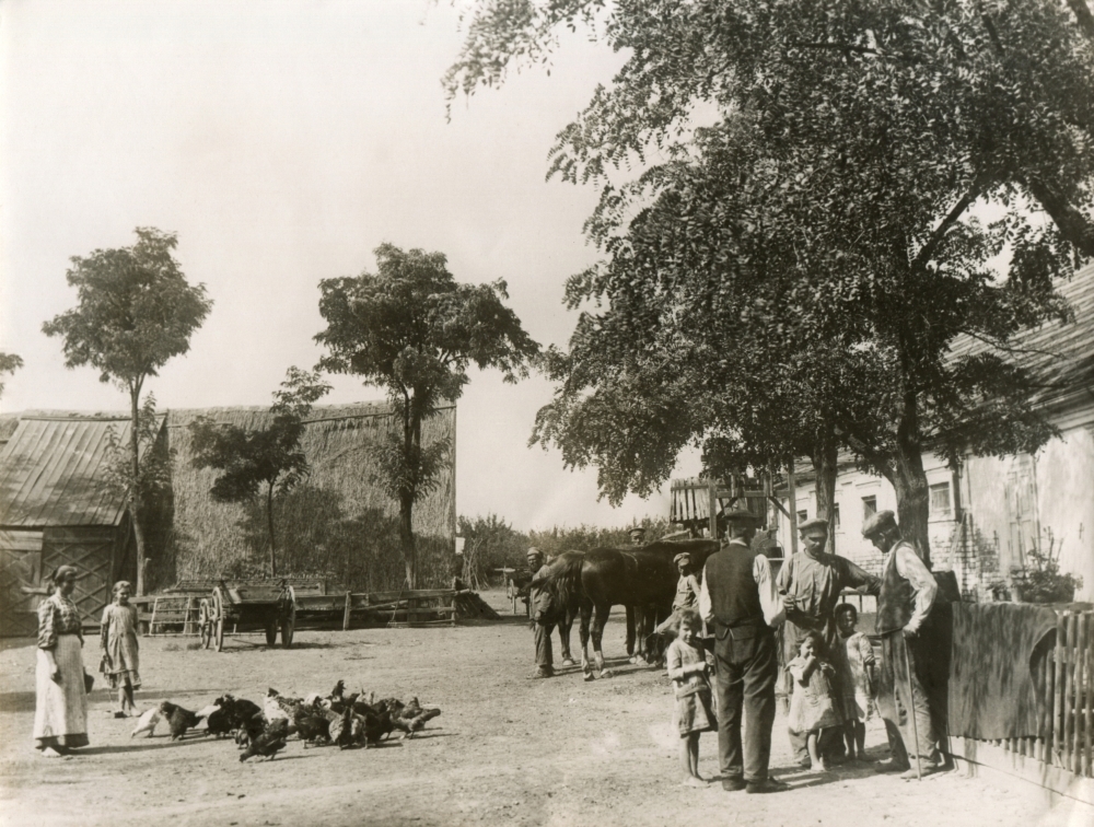 Volga Germans In Russia History (24 x 18)