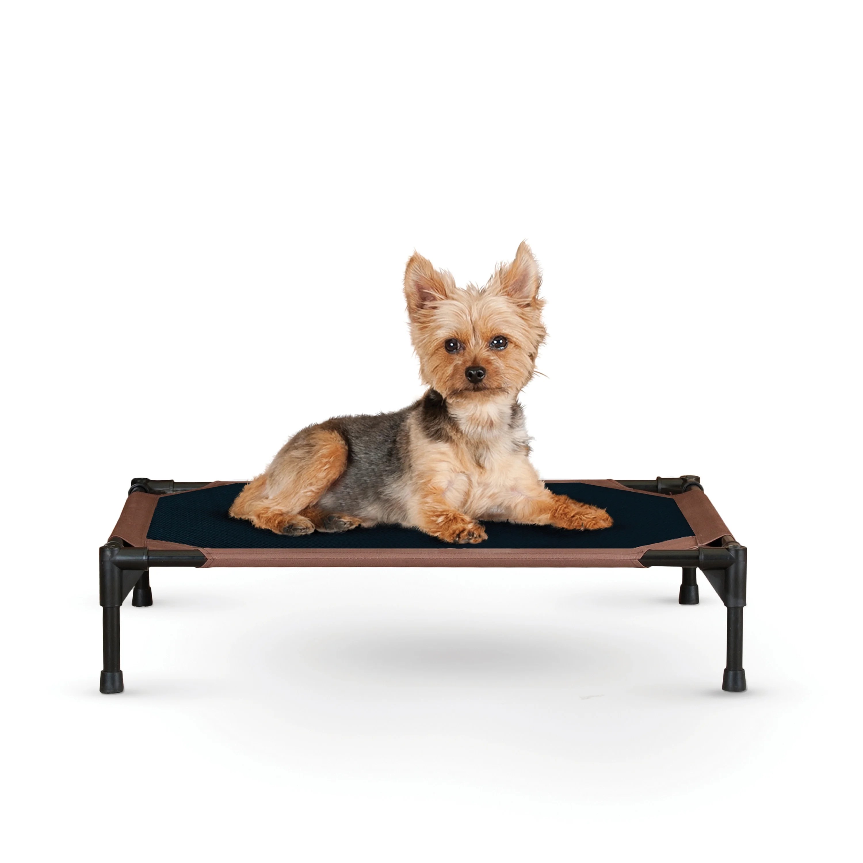K&H Pet Products Elevated Cot Dog Bed, Chocolate/Black, Small, 17"L x