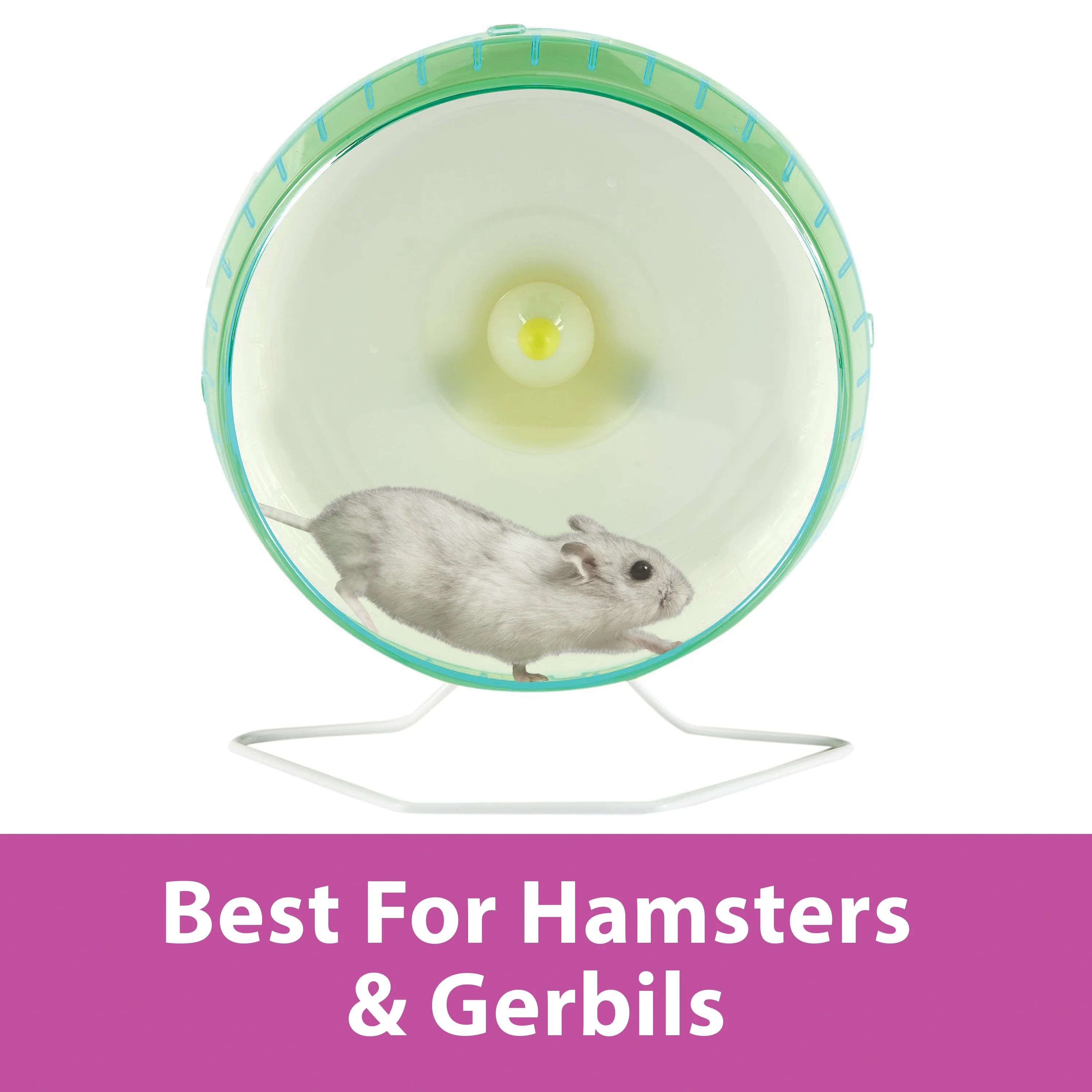 Kaytee Small Animal Silent Spinner Wheel Large 10 Inch, 55 OFF